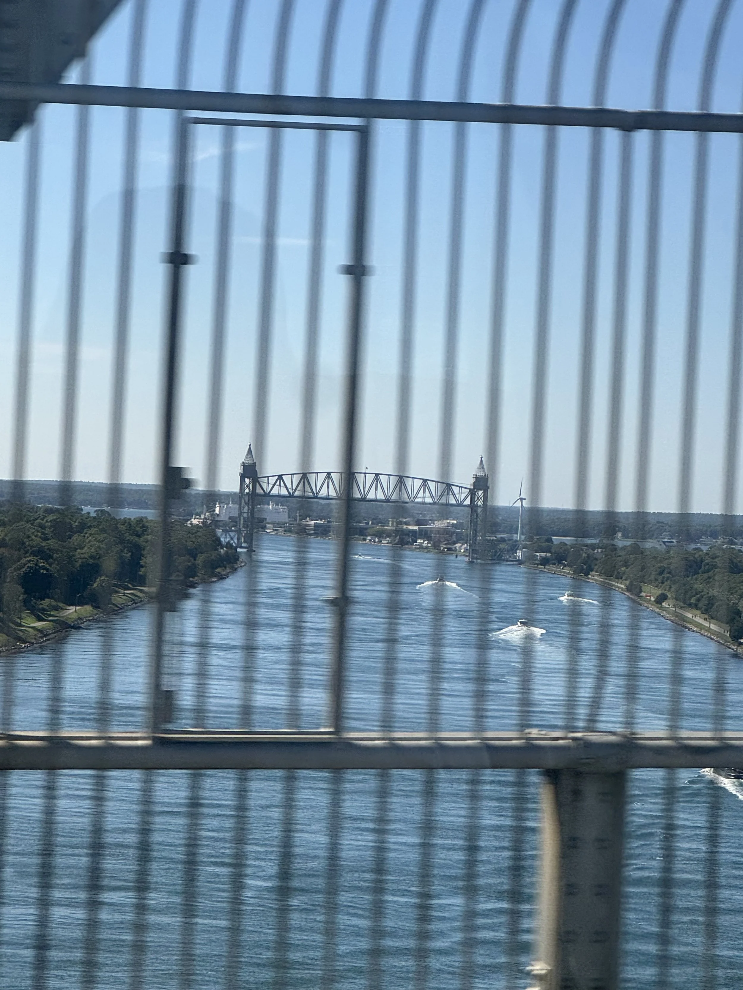 IMG_8299.jpeg