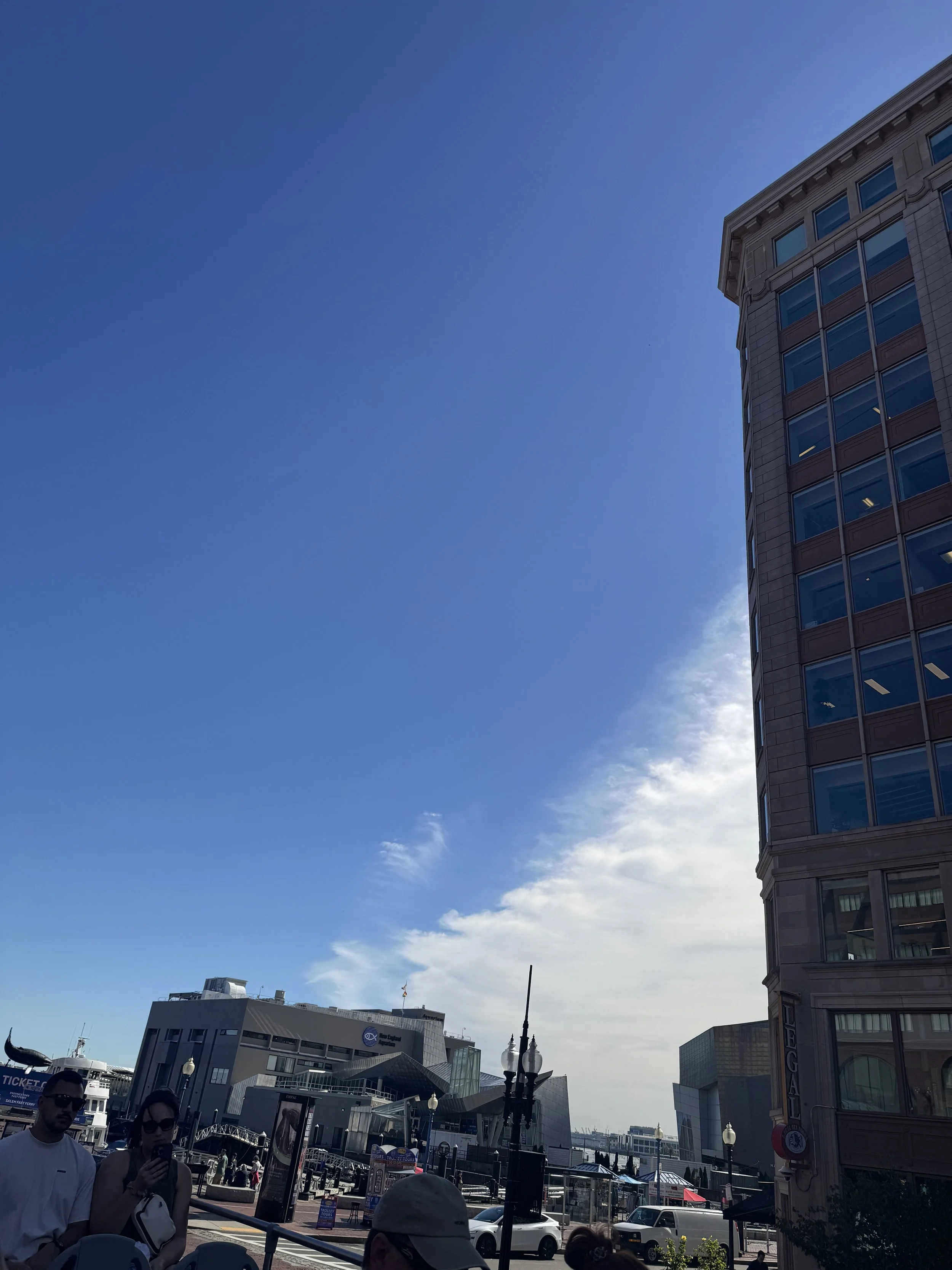IMG_8408.jpeg