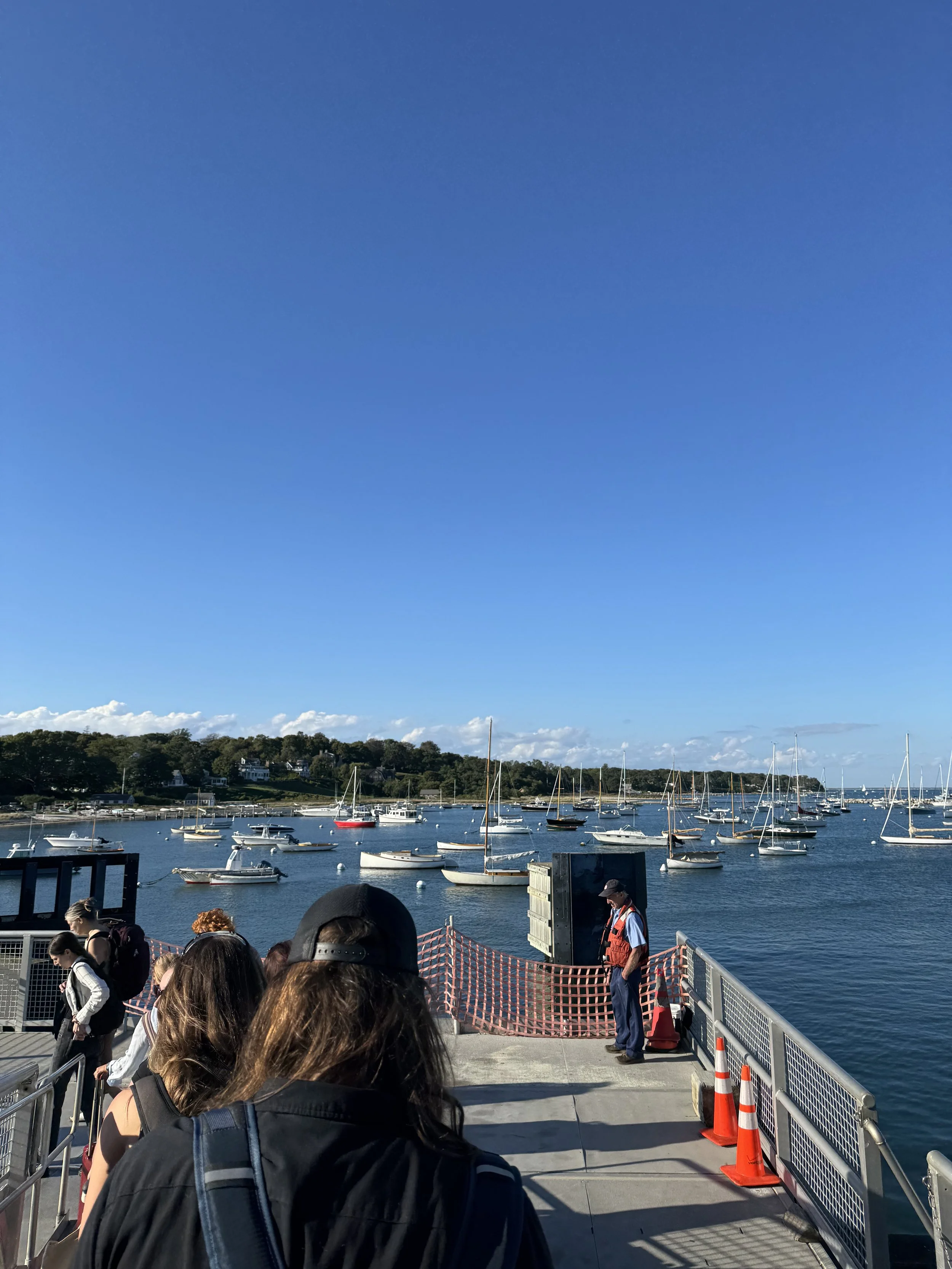 IMG_8248.jpeg