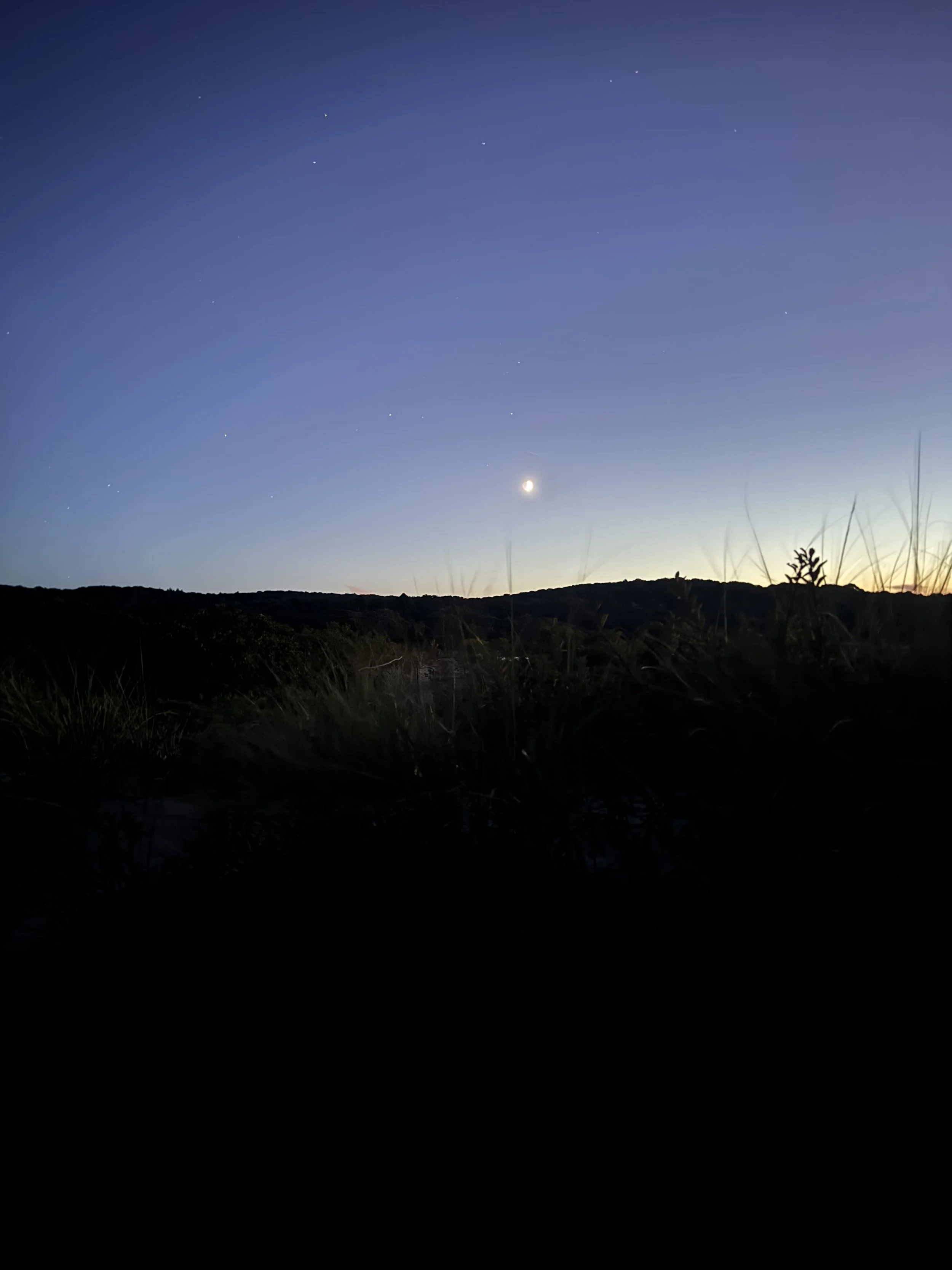 IMG_8266.jpeg