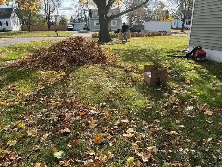 Fall leaf cleanup with piles of leaves collected during Michigan Lawn Care service.