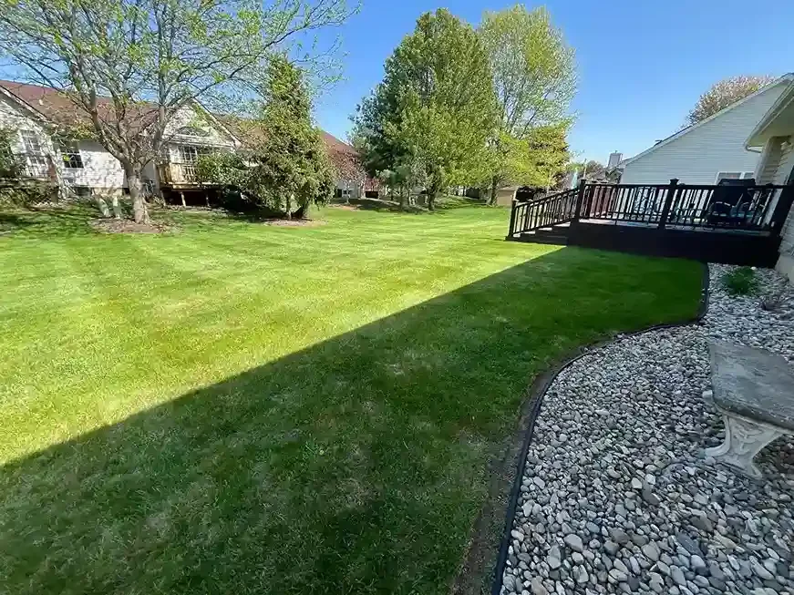 Backyard lawn with clean mowing stripes and tree line maintained by Michigan Lawn Care.