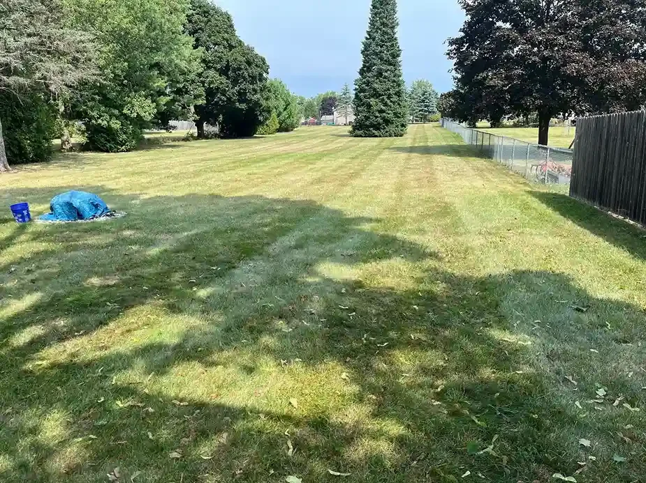 Large backyard with clear mowing stripes maintained by Michigan Lawn Care.