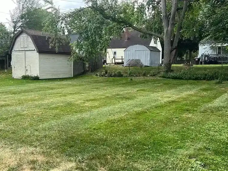 Large residential yard with freshly cut grass and natural shade from surrounding trees.