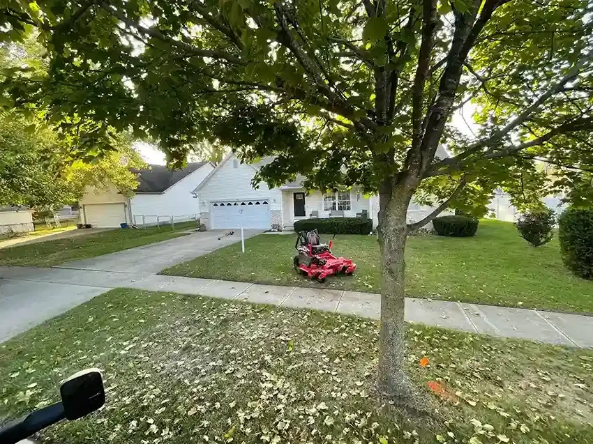 Front yard lawn maintenance performed under a large tree in Michigan.