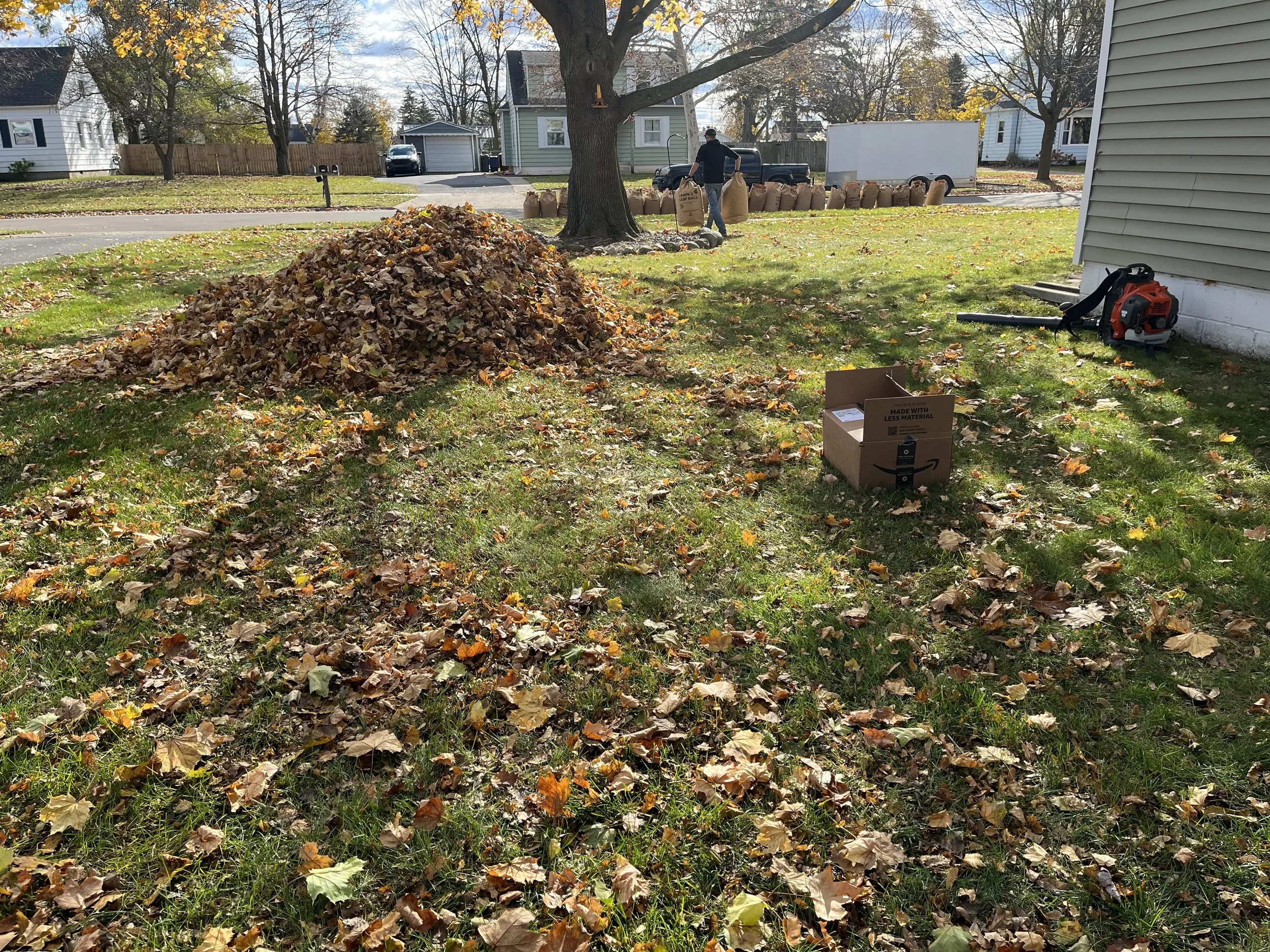 Fall leaf cleanup in progress at a Michigan home, with piles of collected leaves and lawn care equipment.