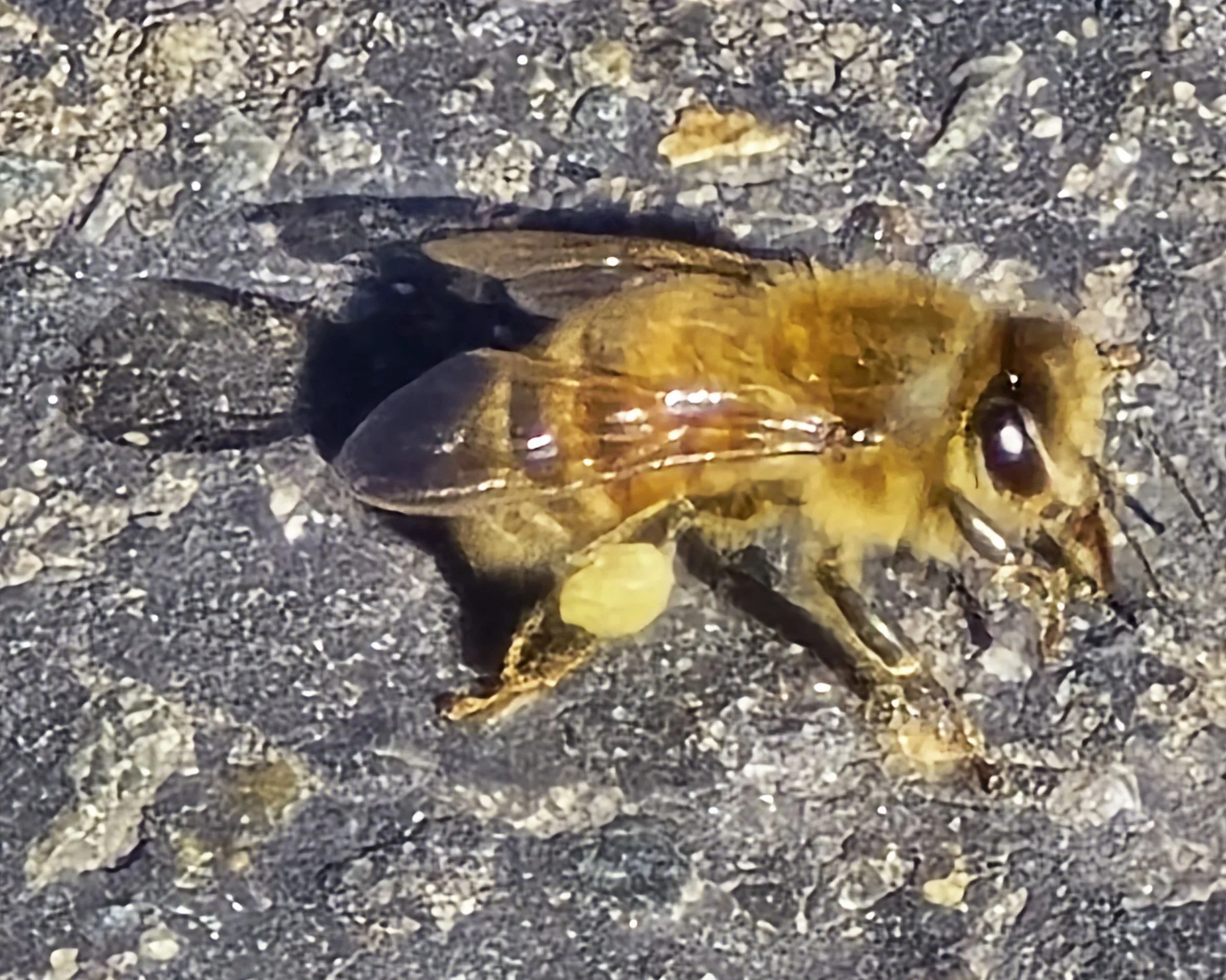 20250205_130357.jpg