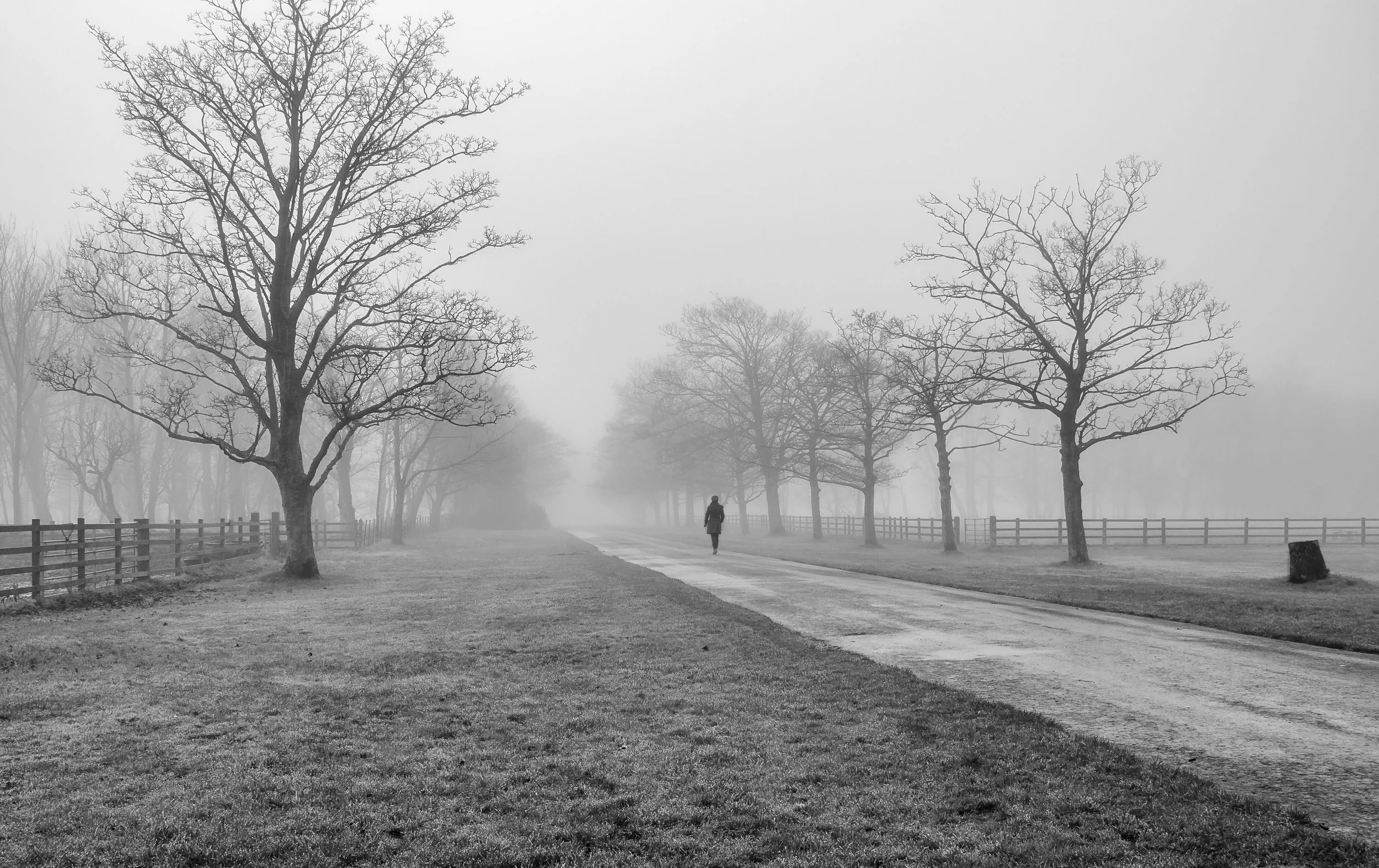 Croxteth Park A Dark Walker 2013. As the fog started to lift, a lady in black walked past me.