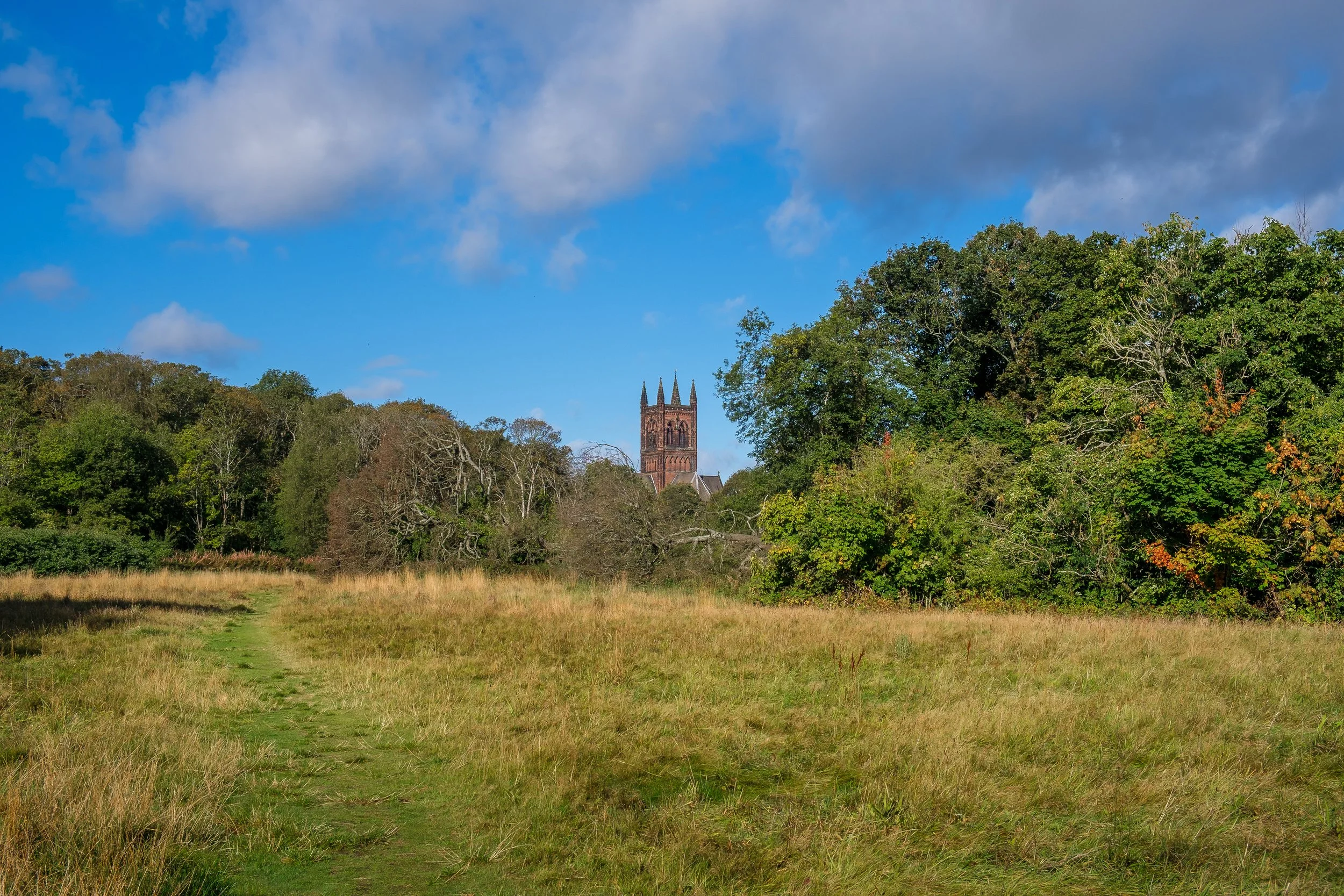 15 CP. Walkers Path. A very popular path, it stays dry even after rain, access from West Derby Village, the problem if your in a car can be finding a parking place.