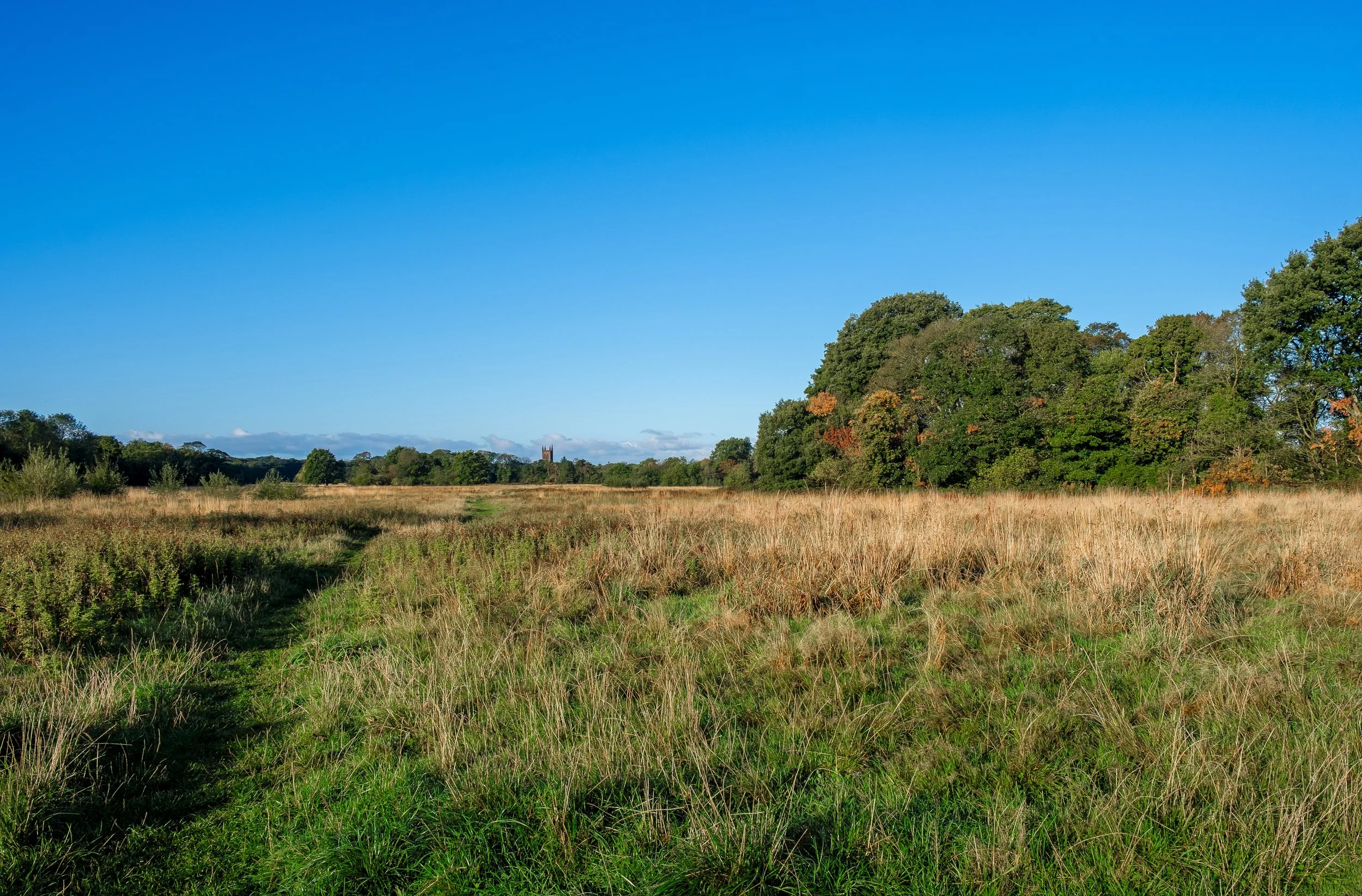 12 CP. Walkers Path. This walkers path image, is not long after sunrise on an Autumn morning, the thistles now are dead and the long grass is dying off.