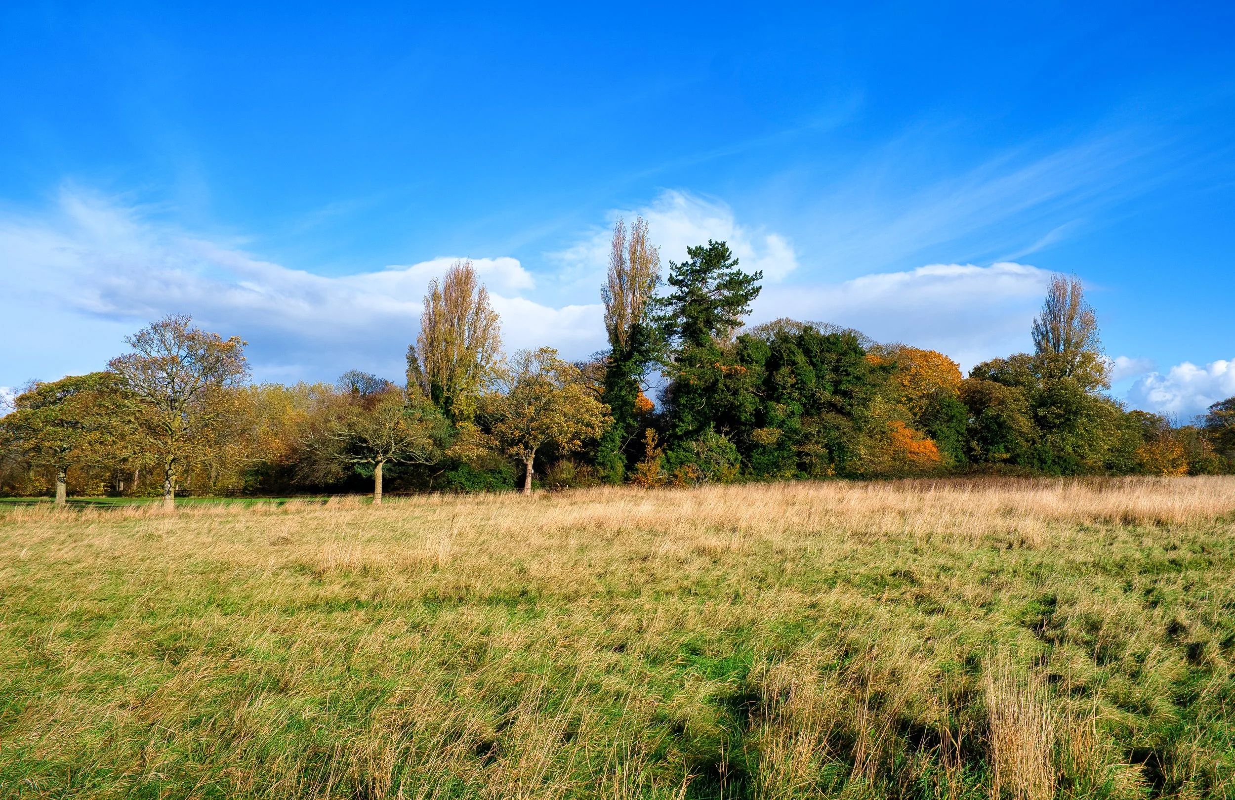 11 CP. Walkers Path. Looking across to the wooded crossroads.