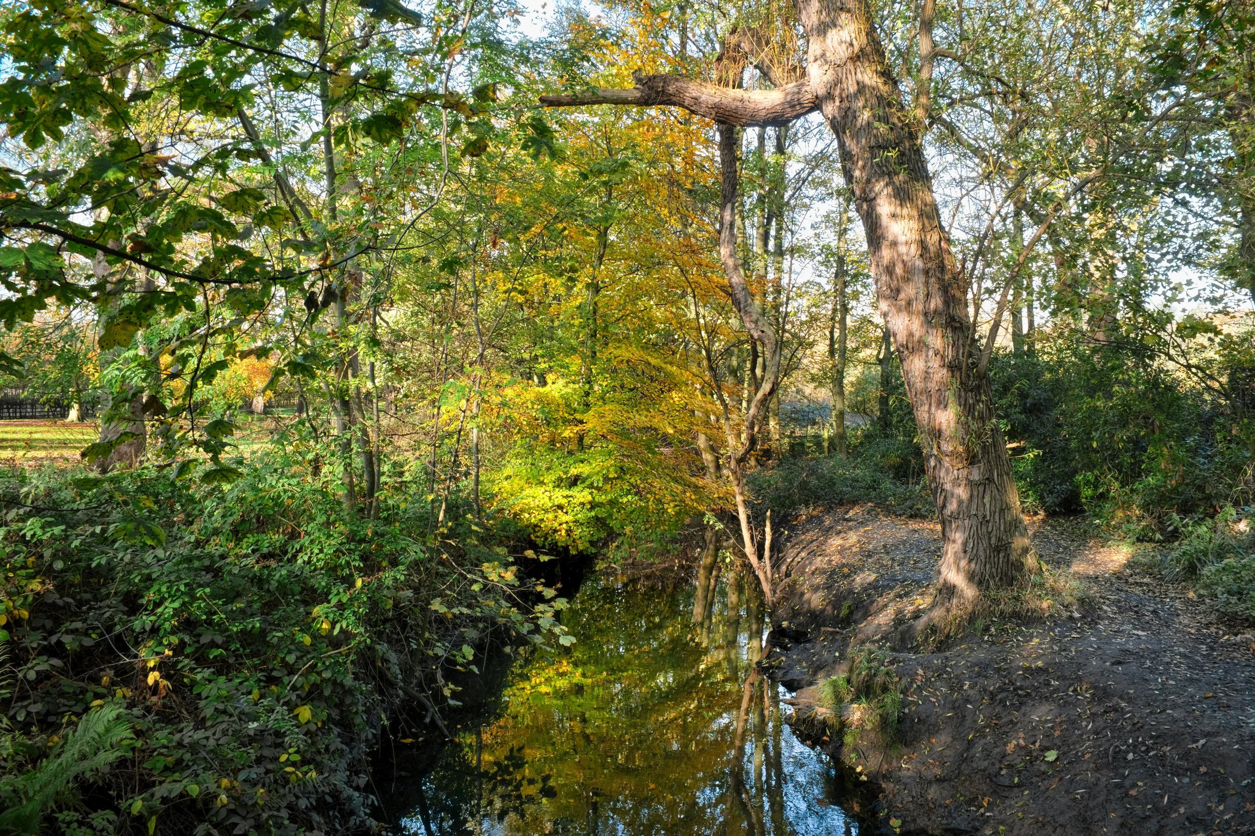 24 CP. River Alt. Standing on the bridge behind Croxteth Hall.