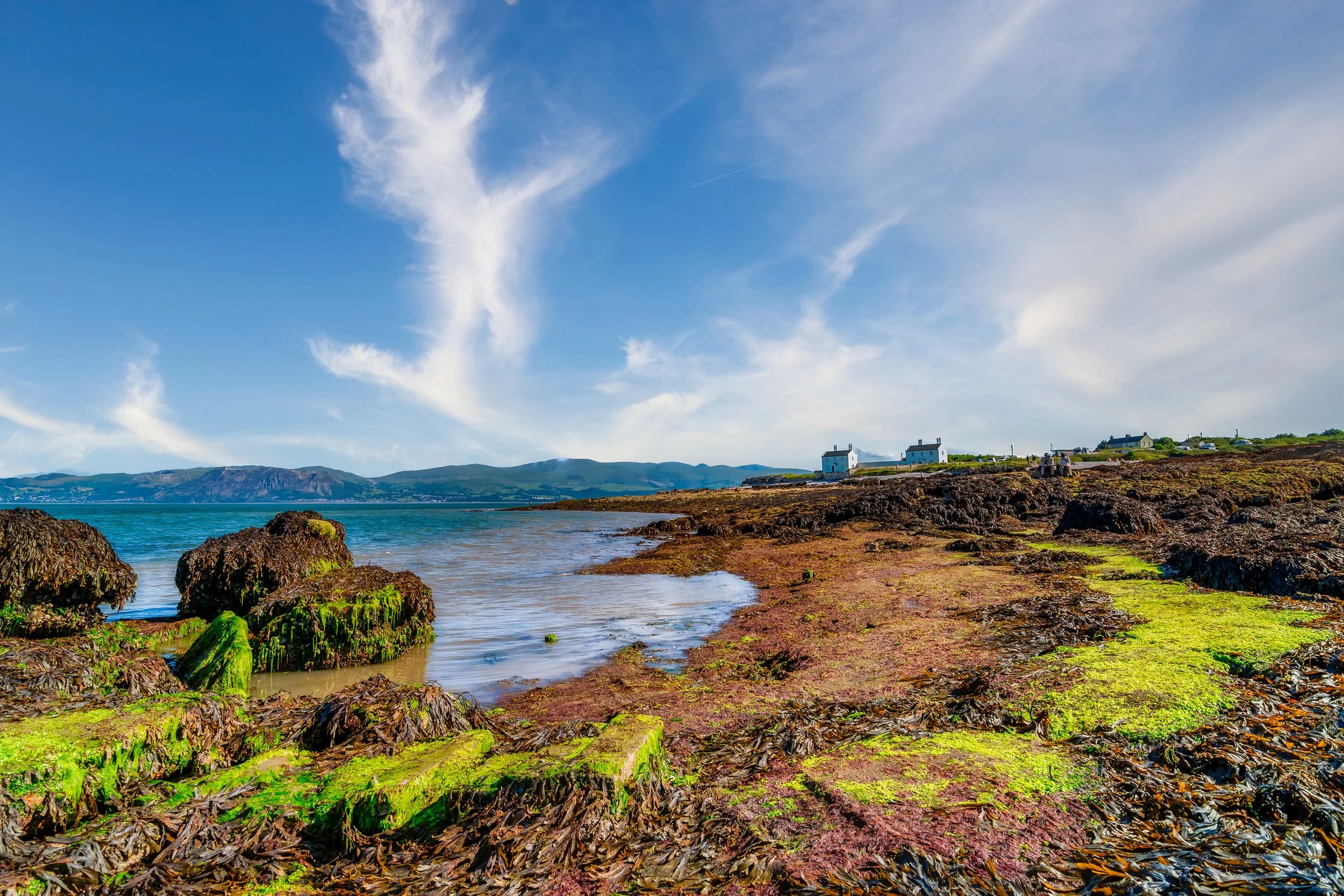 Anglesey Penmon Point 2016. Must be Alien Seaweed, that was the color of the seaweed, WEIRD.