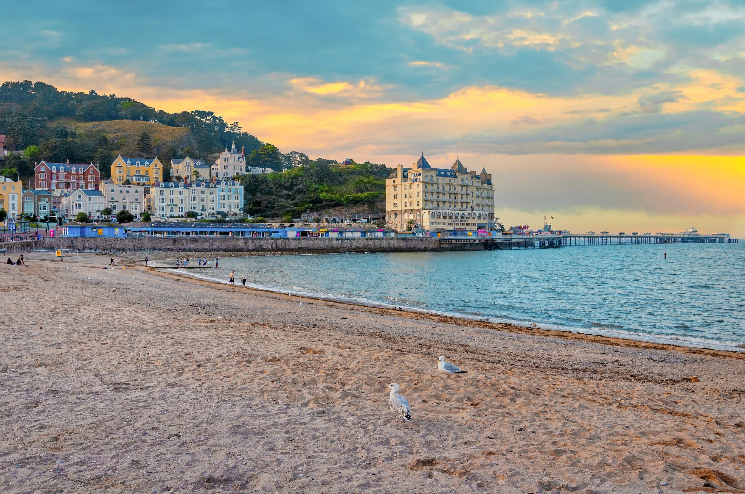 23 NW. Llandudno Beach. End of the day, people leaving and the crows and seagulls arriving for there snacks.