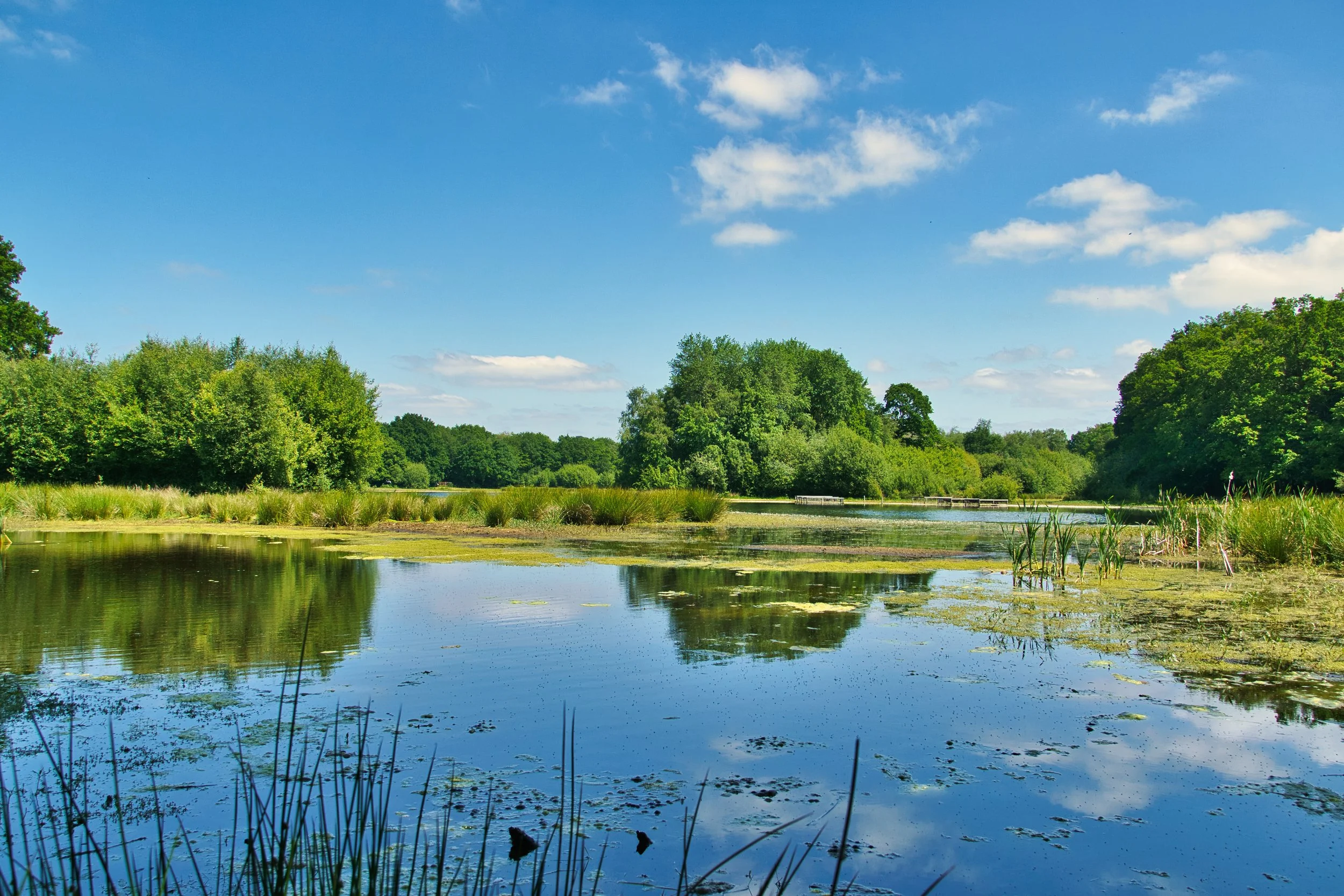 Whitchurch Brown Moss Nature Reserve 2021. A place i used to fish 40 years ago, so being in the area, decided to have a walk around for old memories.