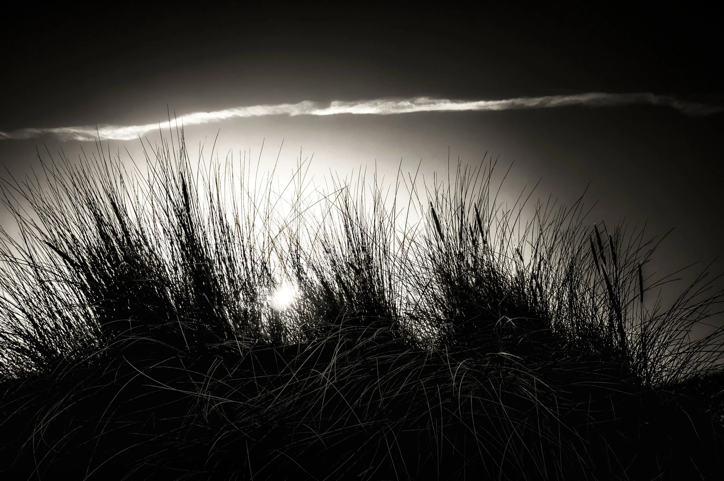 Crosby 2015. Early morning walk, with a lovely sunrise.