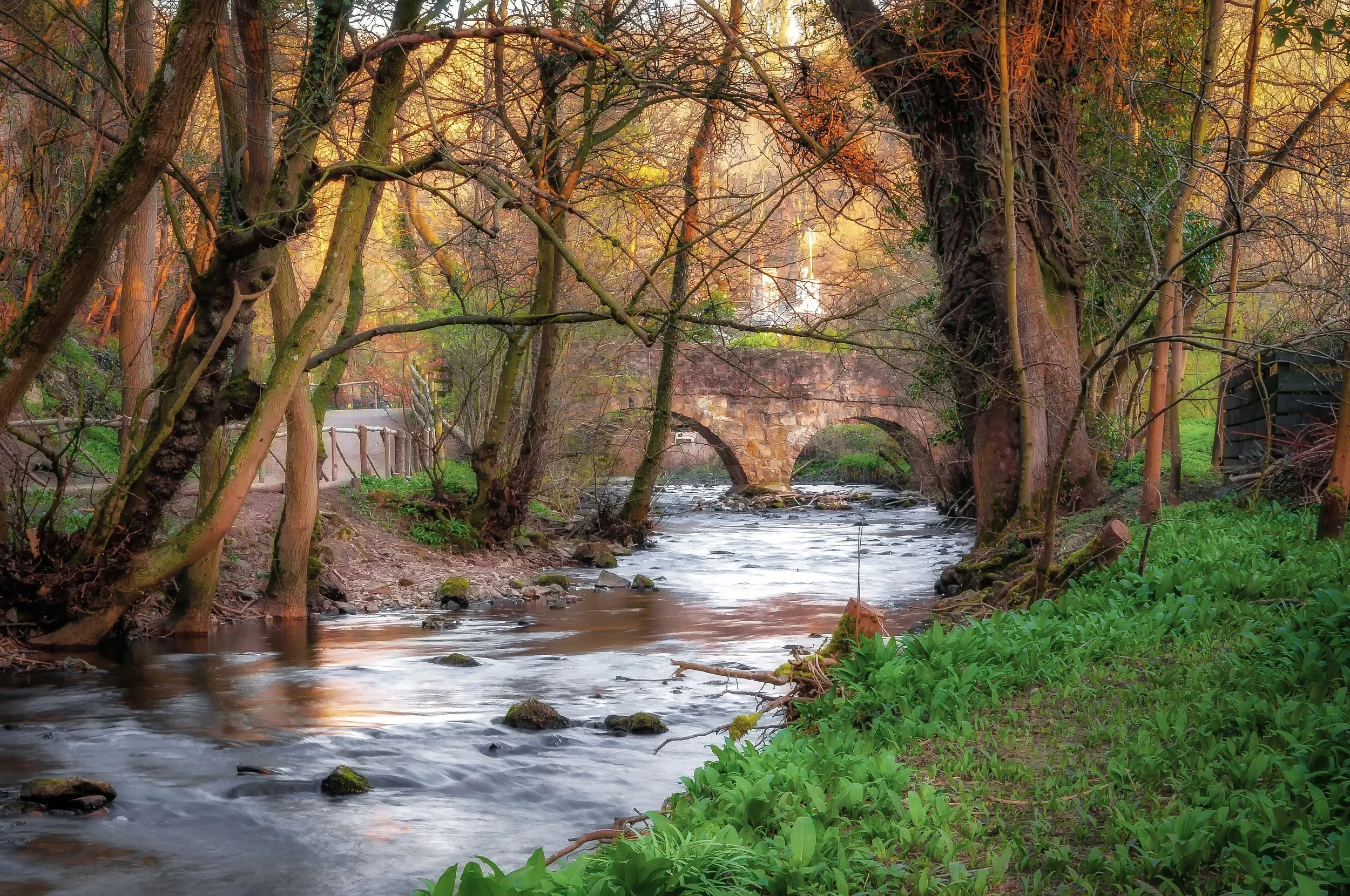 9 NW. River Alyn. Loggerheads Country Park, Mold to Ruthin road.