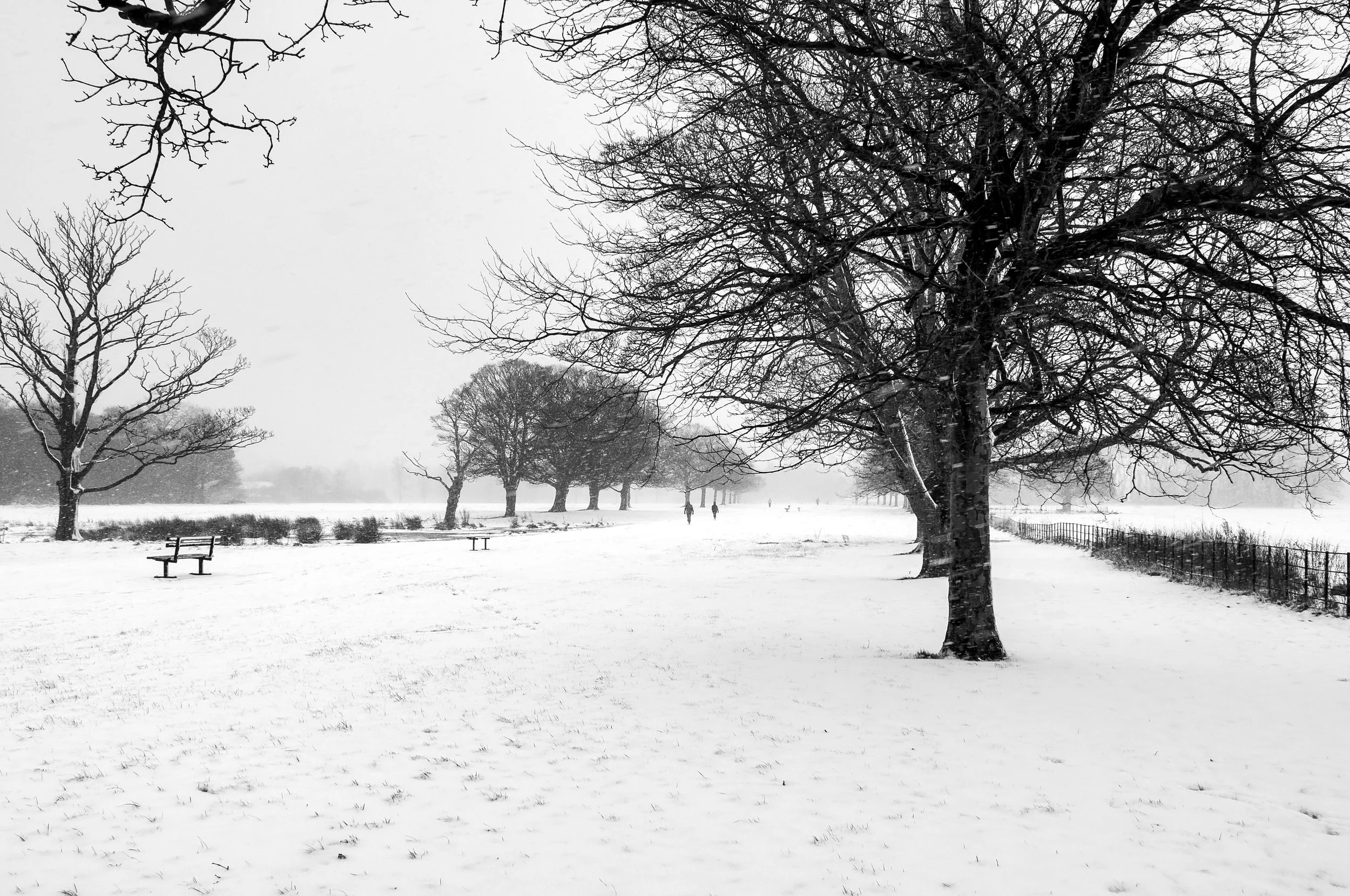 Croxteth Park 2013. The snow chucked it down, now that is rare where i live.
