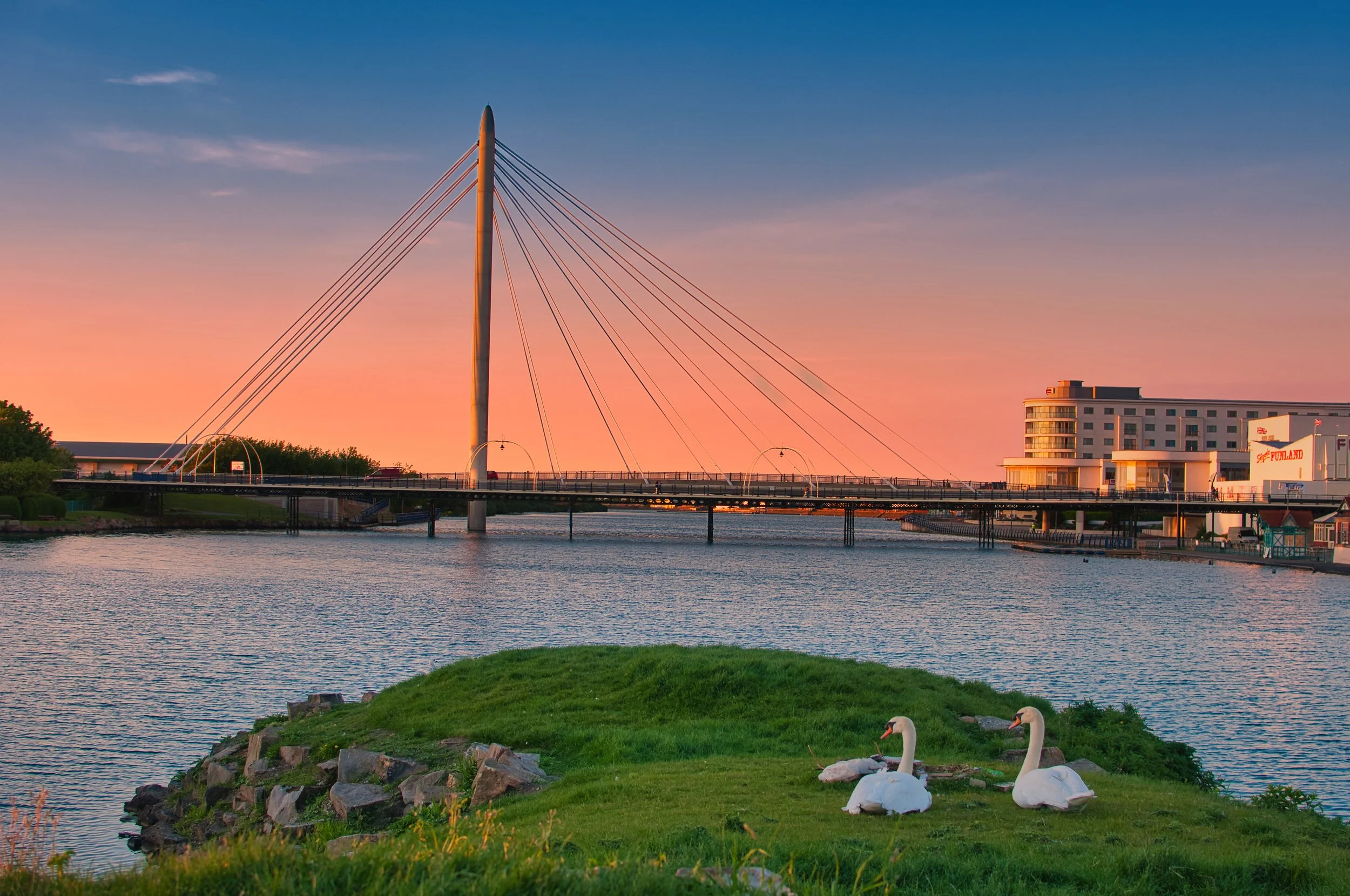 Southport Swan Twilight 2014. the swan's were watching the sunset.