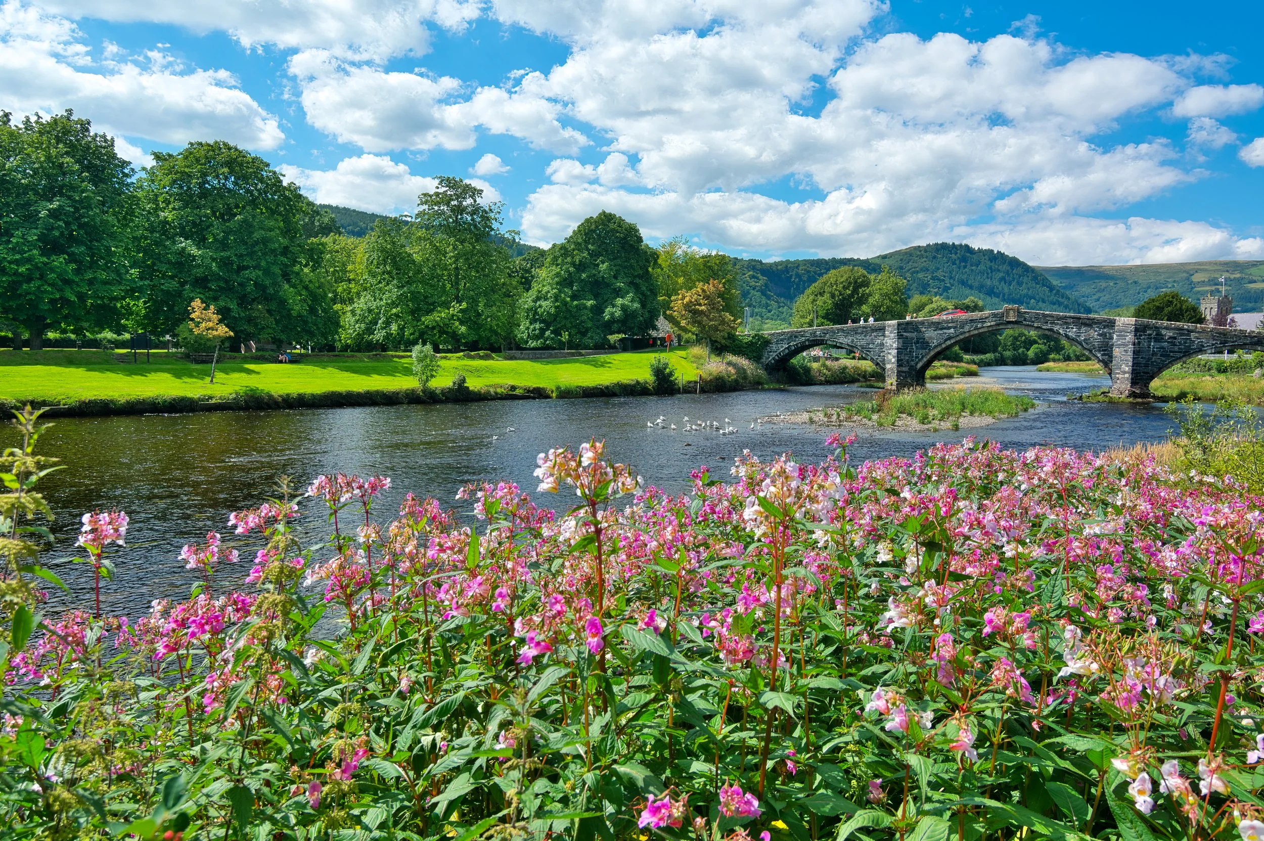 26 NW. Llanrwst Bridge. A lovely place, to sit on the riverbank and have a picnic, the bridge is 400 years old, only one car can get across each time.