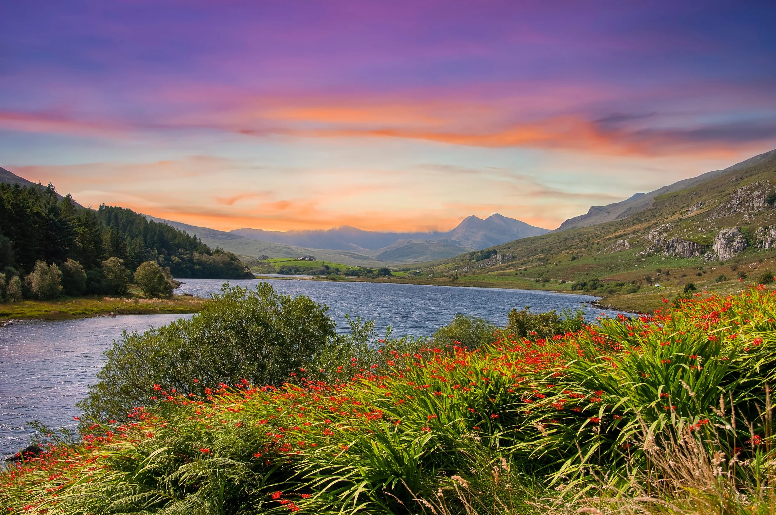 1 NW. Just outside Capel Curig, the beautiful Llynnau Mymbyr Lake. Behind the red flowers there are artists painting and sketching the scene.