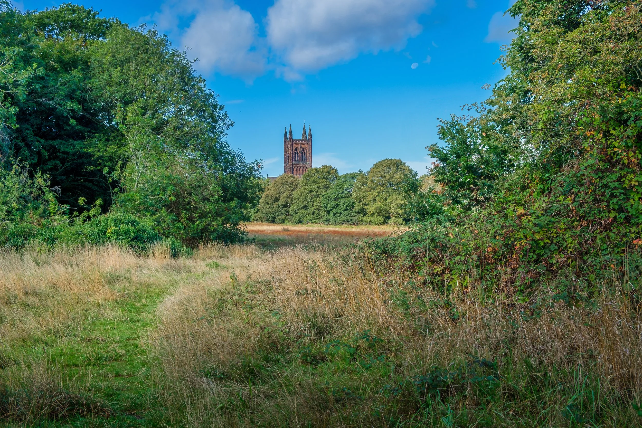 16 CP. Walkers Path. Walking through from the pond, that i can still remember as a kid when it wasn't overgrown, and i would sit on the bank with a bag of chips from the village.
