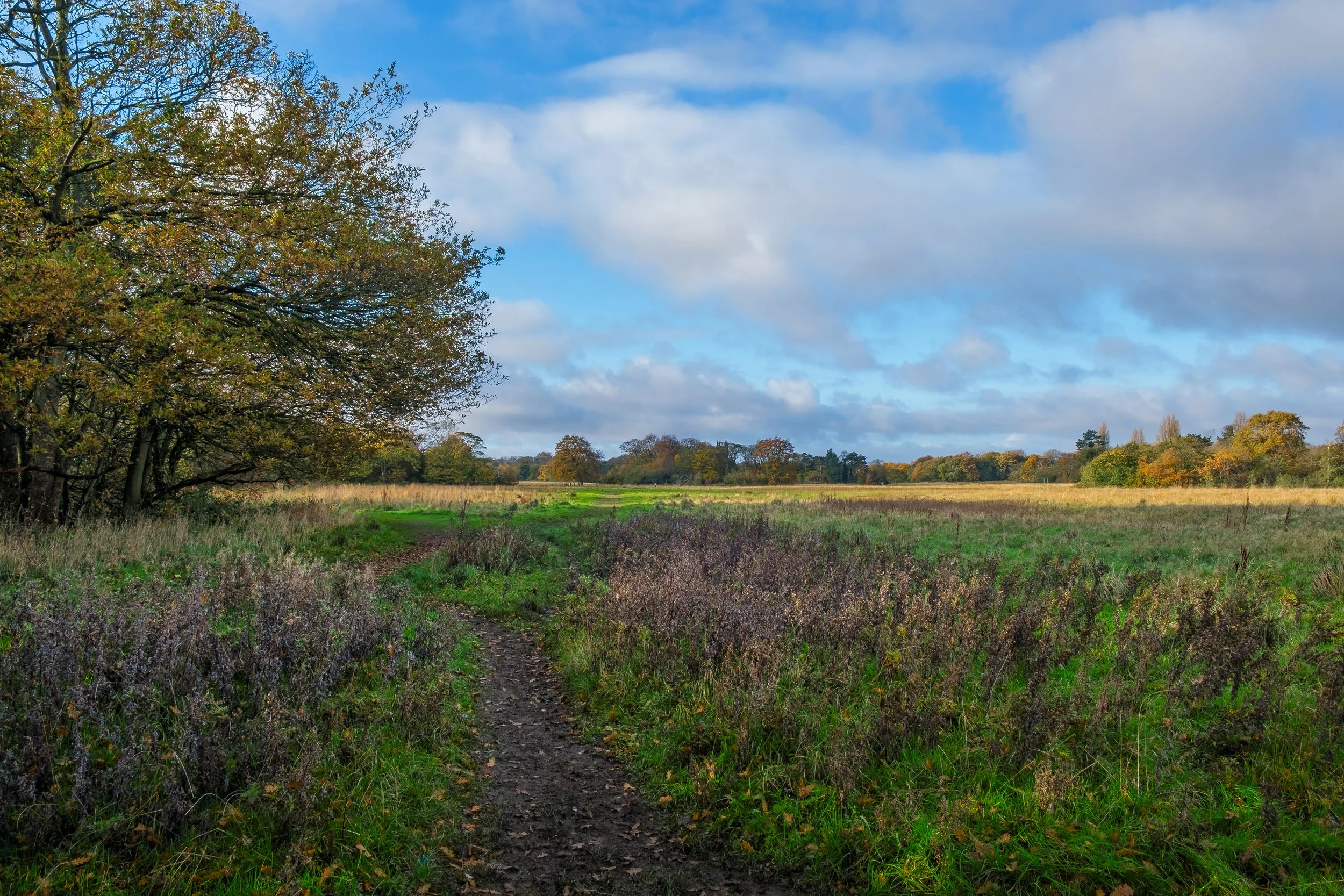 17 CP. Walkers Path. Many will know were this is walking there dog.