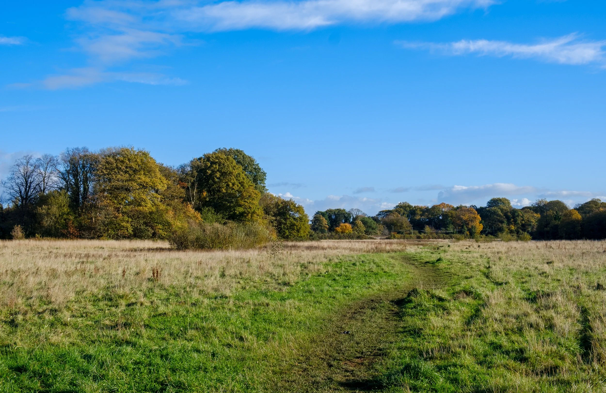 10 CP. Walkers Path. The walkers path images were all taken on the foot worn paths in the fields from West Derby Village to Croxteth Hall Lane.