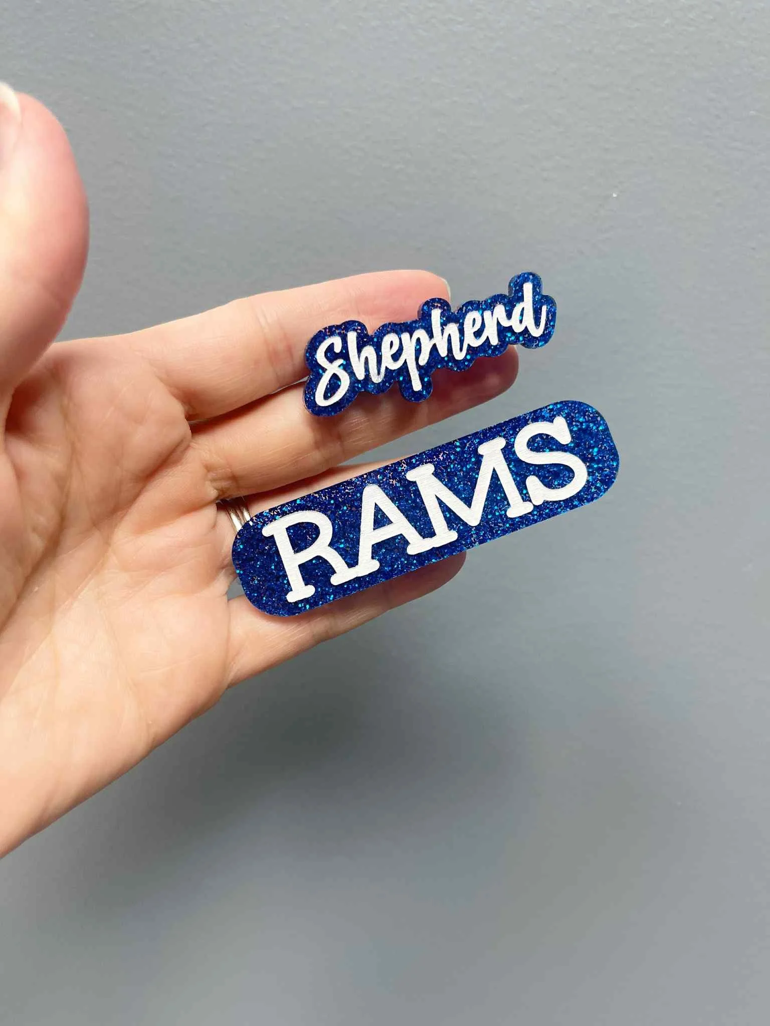 Shepherd Hair Clips Front.jpg