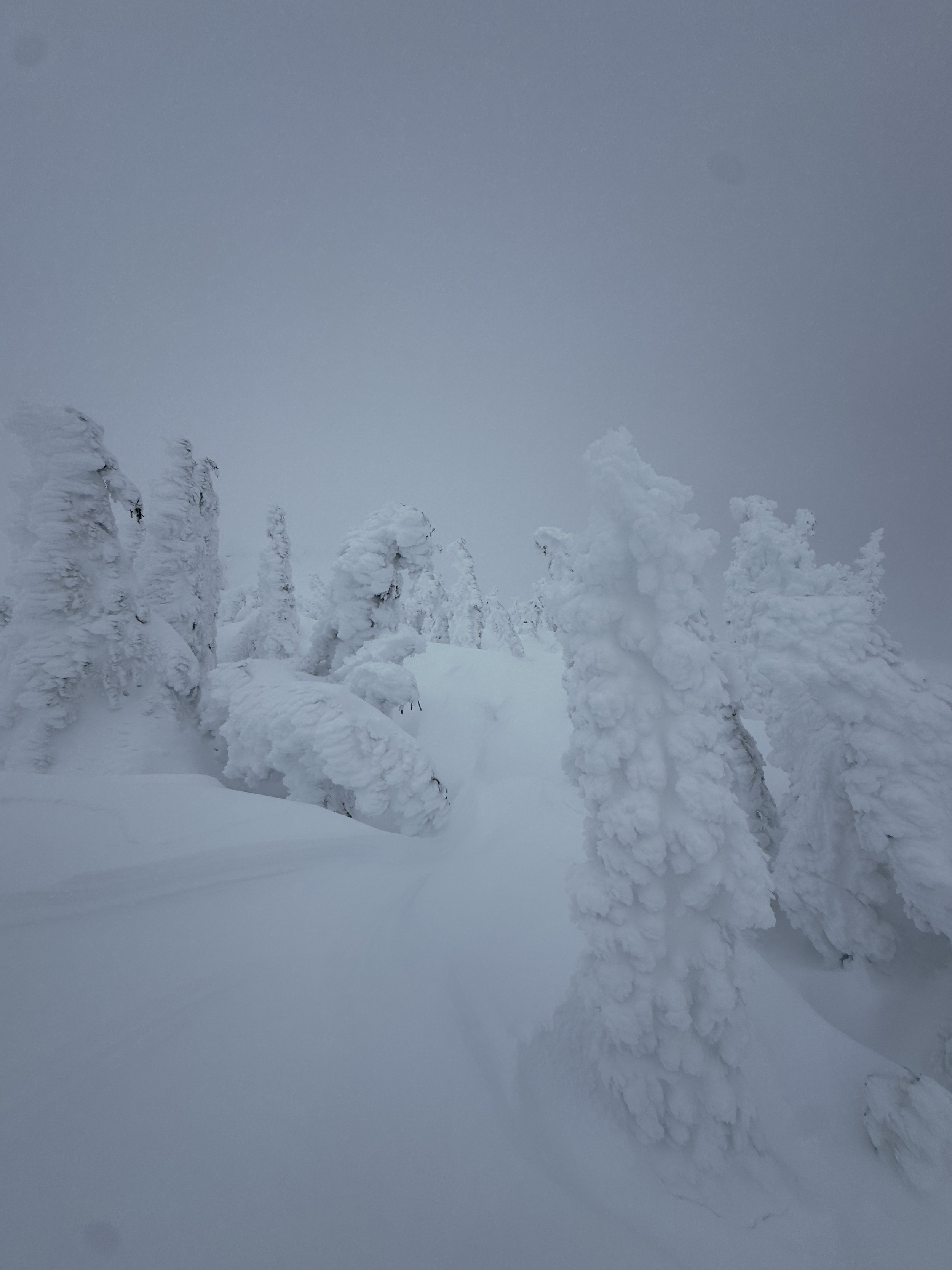 When the Holidays Feel Heavy: A Gentle Guide to Caring for Yourself This Season