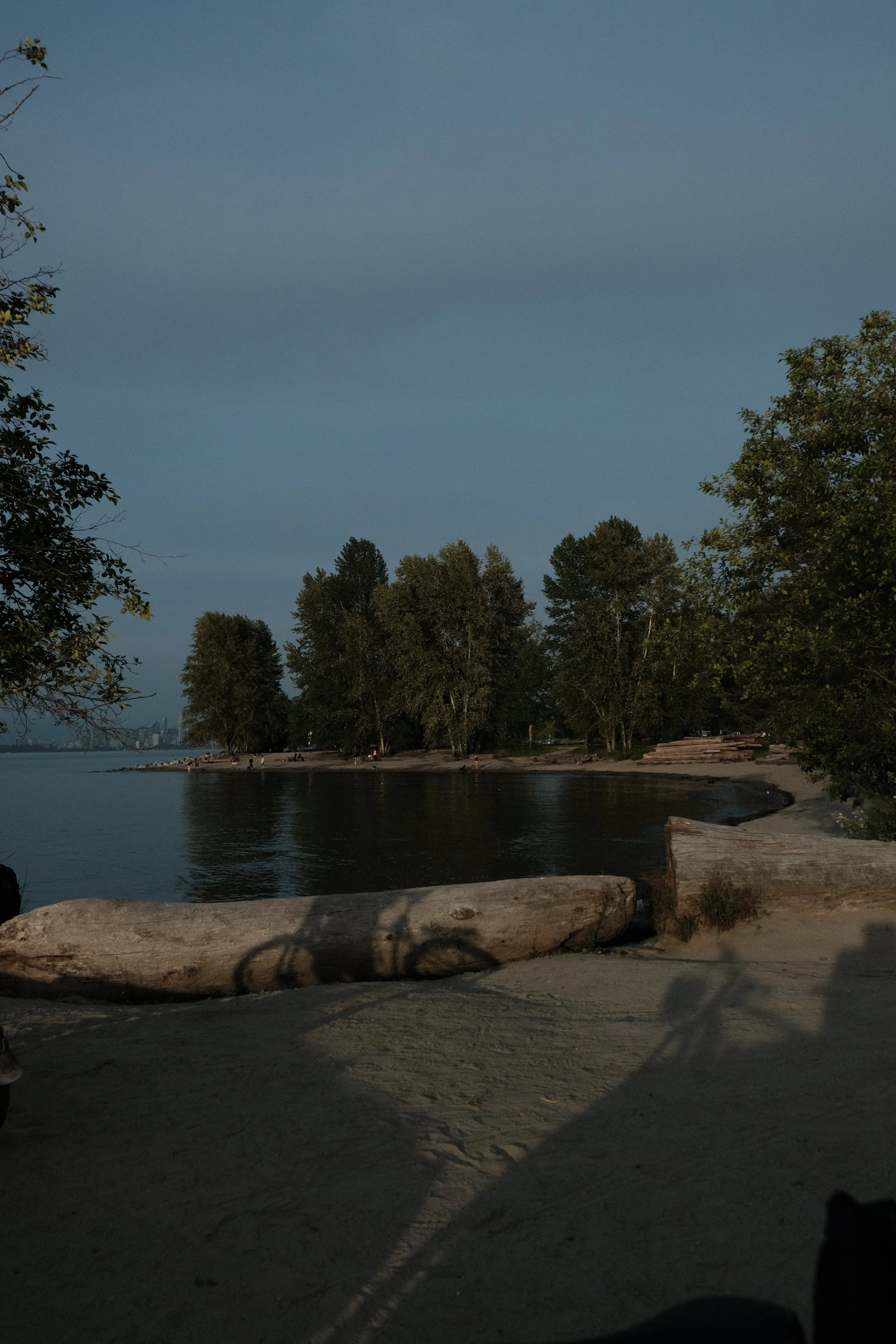 When You’ve Been Told You’re “Too Much”