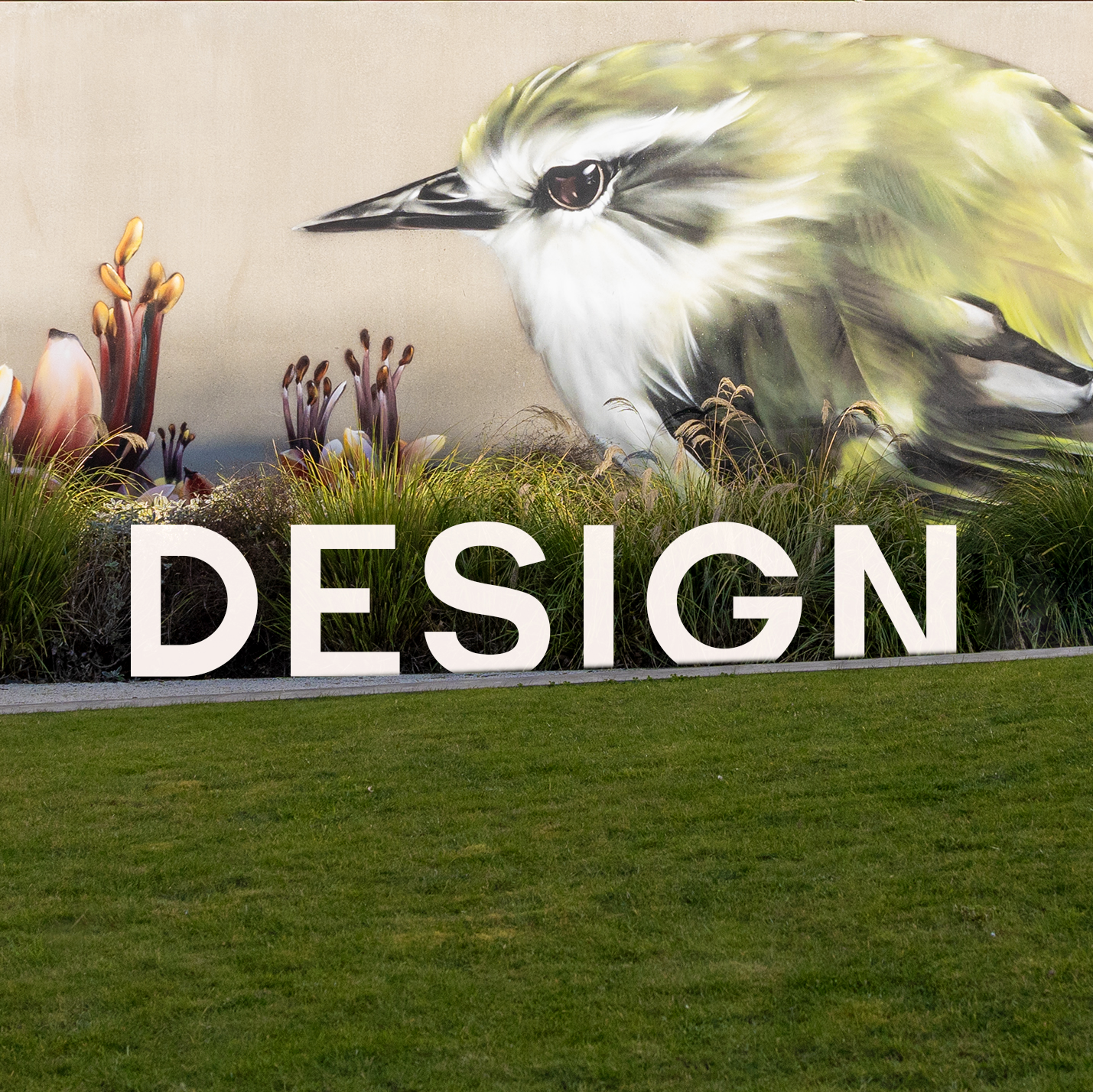 Litchfield Wall Mural Graffiti 2 birds flowers Christchurch Design Services Ci marketing
