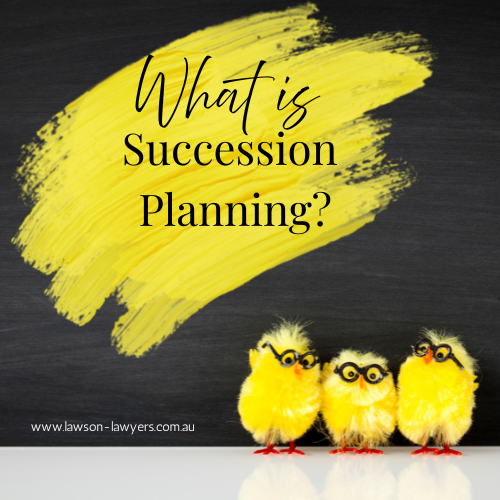 what is succession planning?