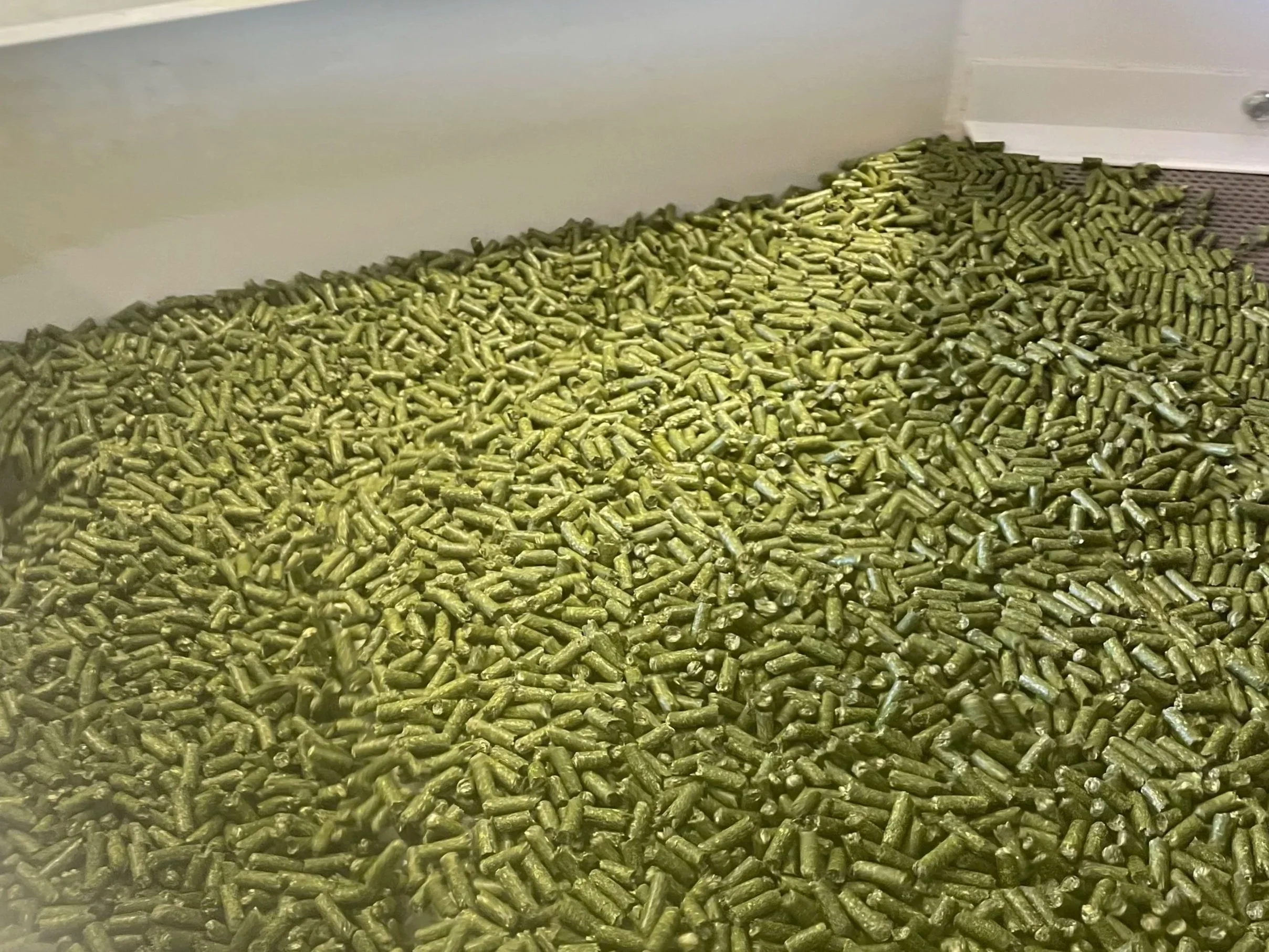 sainfoin hay pellets Wyoming