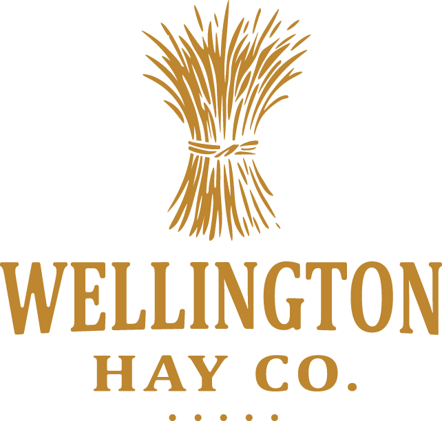 Wellington Hay Co. | Hay for Sale in Northern Colorado