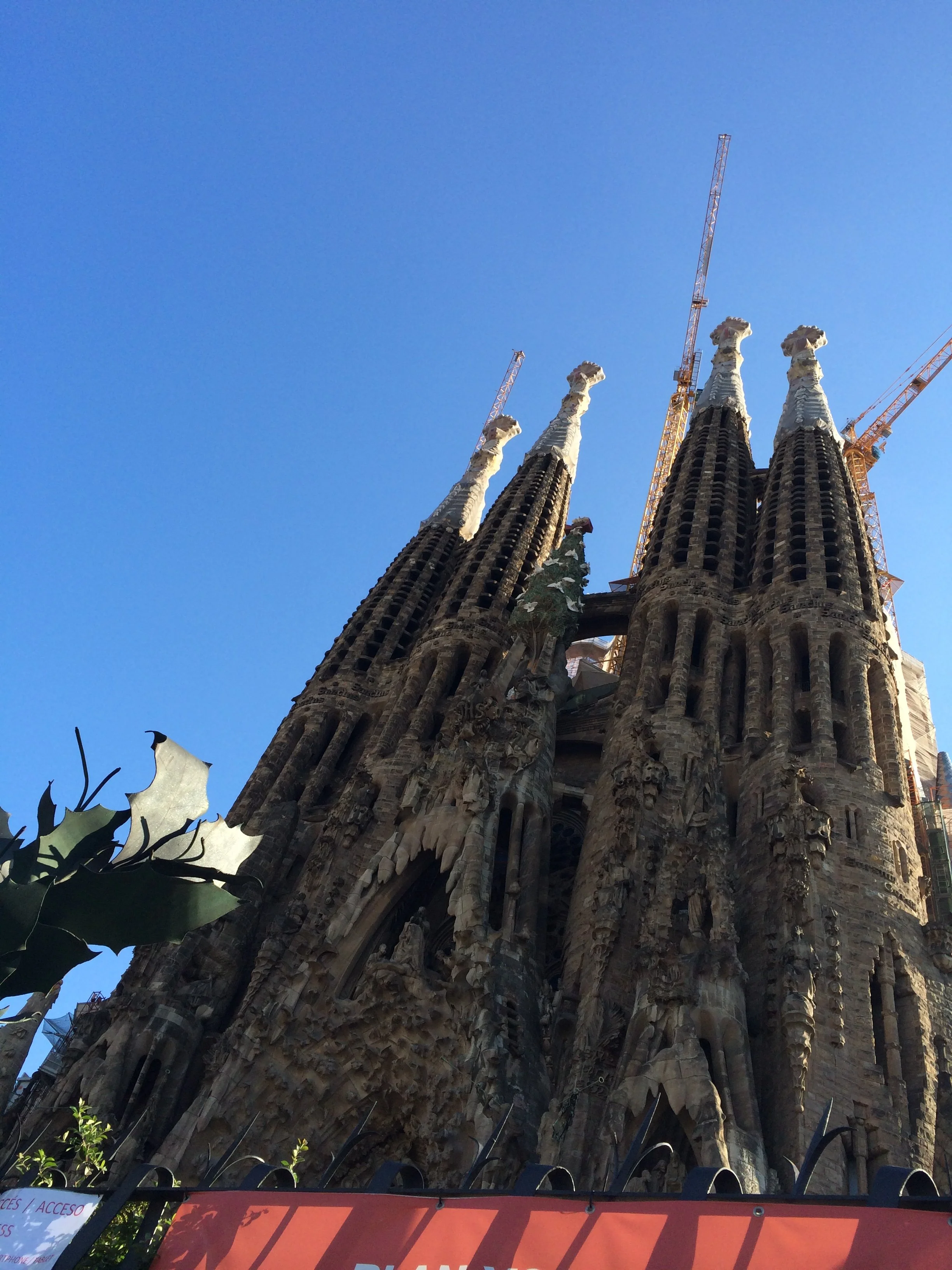 2014-05-16 18.41.21.jpg