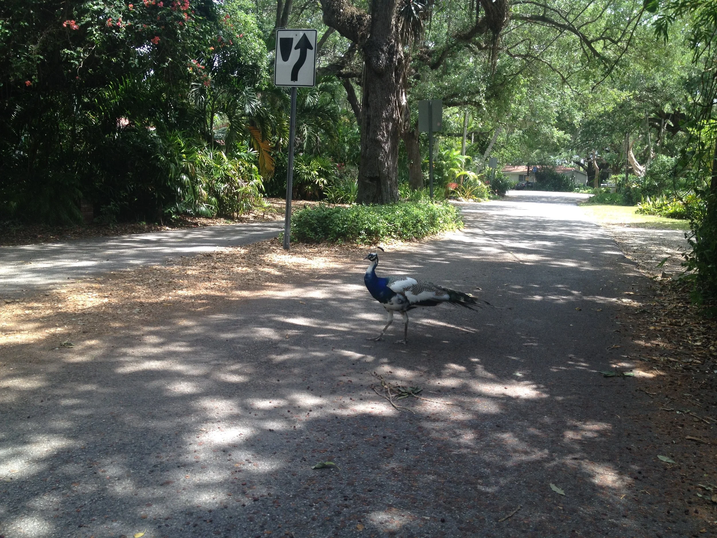 2014-04-04 12.55.01.jpg