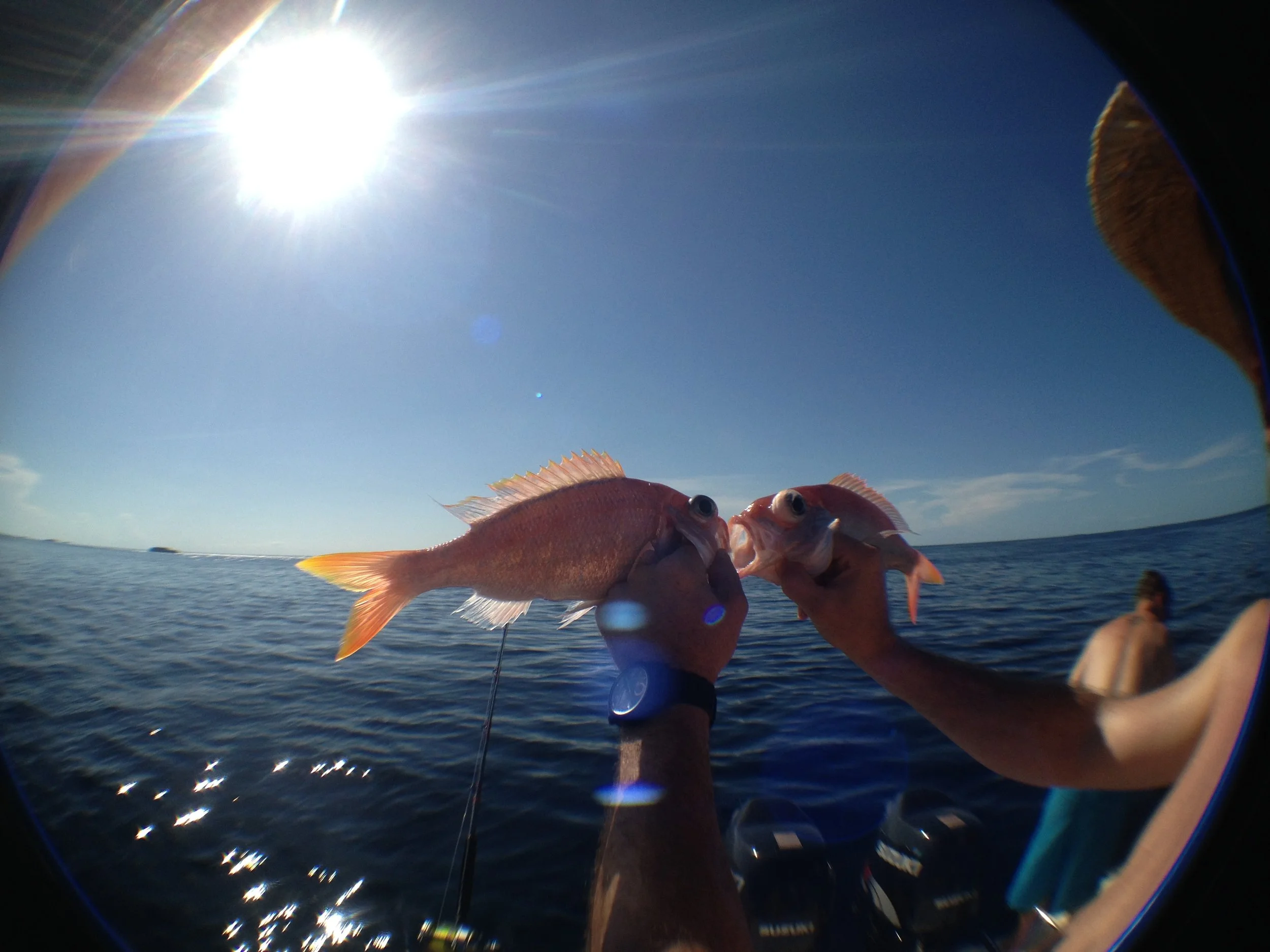 2013-06-15 16.44.41.jpg