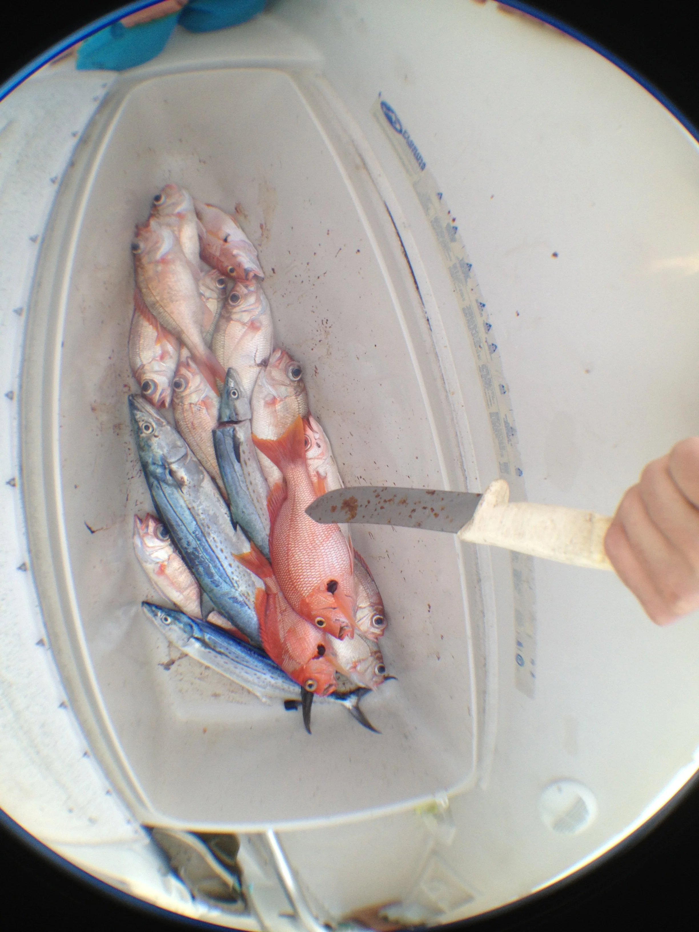 2013-06-15 19.32.44.jpg