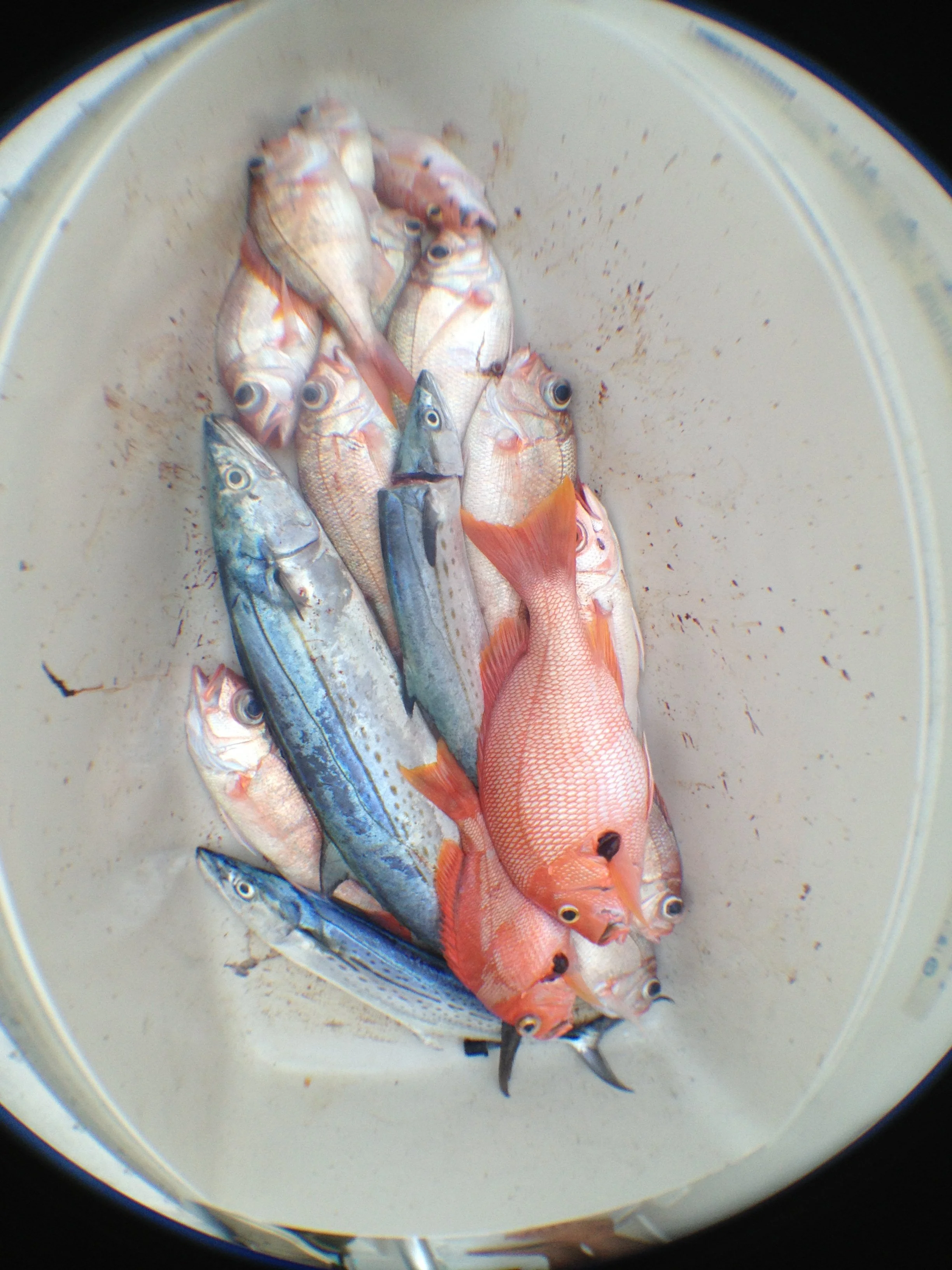 2013-06-15 19.32.04.jpg