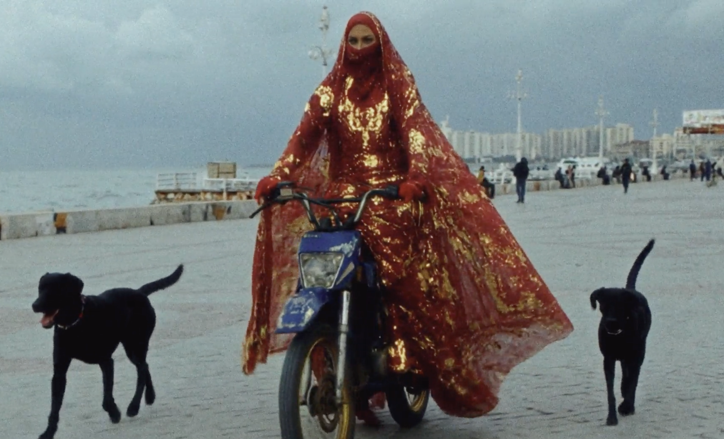 Screenshot 2026-03-12 at 13.43.10.png