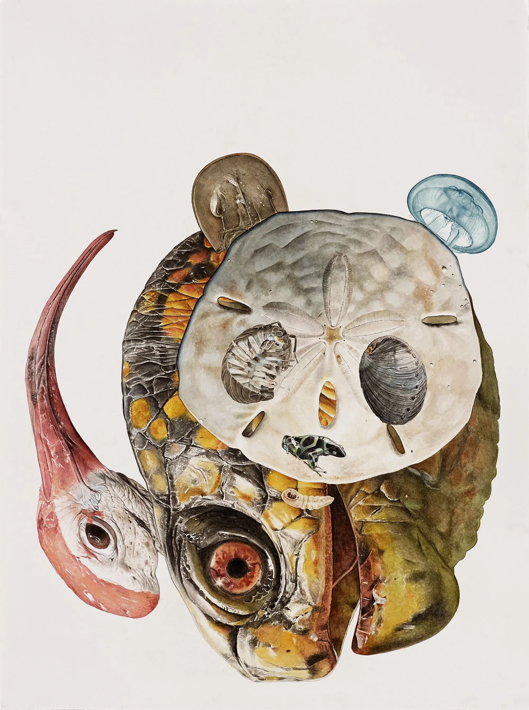 Panda, 2014
Watercolor on Arches 300 lb. hot press paper
30 x 22 in (76.2 x 55.9 cm)