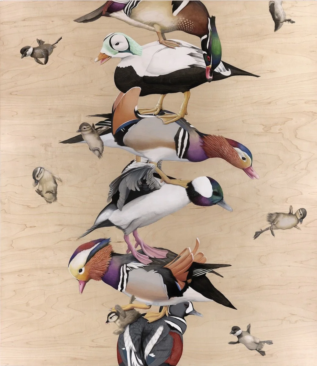 Ducks in a Row, 2014
Acrylic on maple panel
45 x 32 in (114.3 x 81.3 cm)