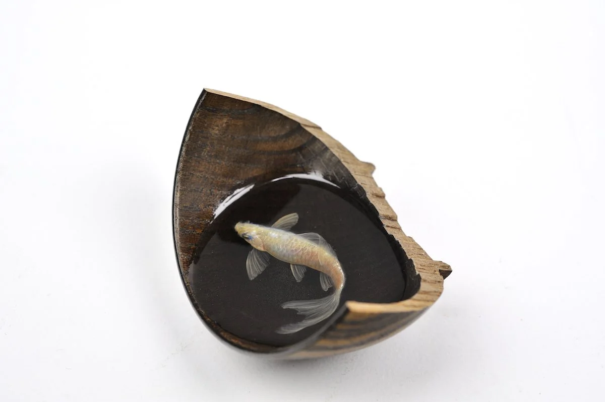 Warewan ni Byaku, 2013
Wood bowl, resin, acrylic
3 x 3.5 x 4 in (7.6 x 8.9 x 10.2 cm)