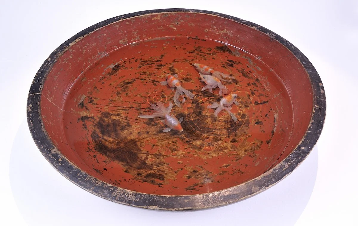 Aizuitsu, 2013
Vintage Aizu-Nuri lacquerware, resin, acrylic
15.75 x 16.5 x 3.75 in (40 x 41.9 x 9.5 cm)