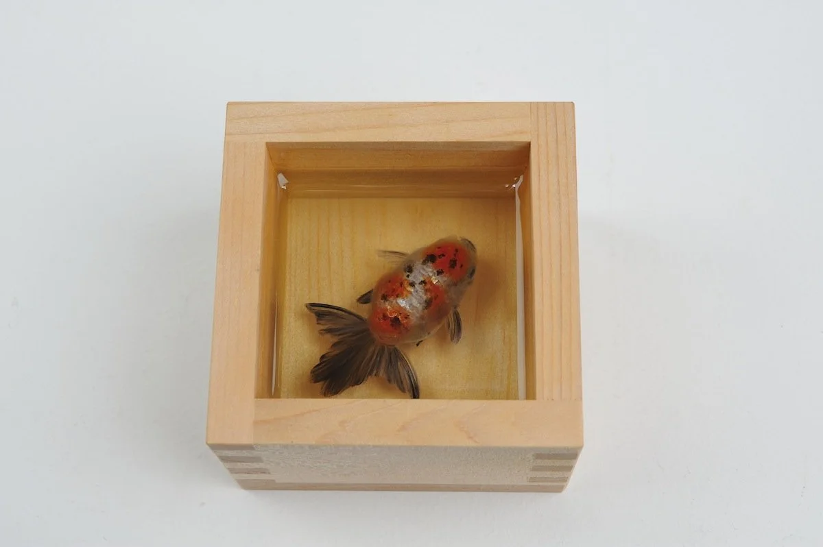 Kingyo-sake Edoko, 2013
Japanese cypress sake cup, resin, acrylic
2.15 x 3.35 x 3.35 in (5.5 x 8.5 x 8.5 cm)