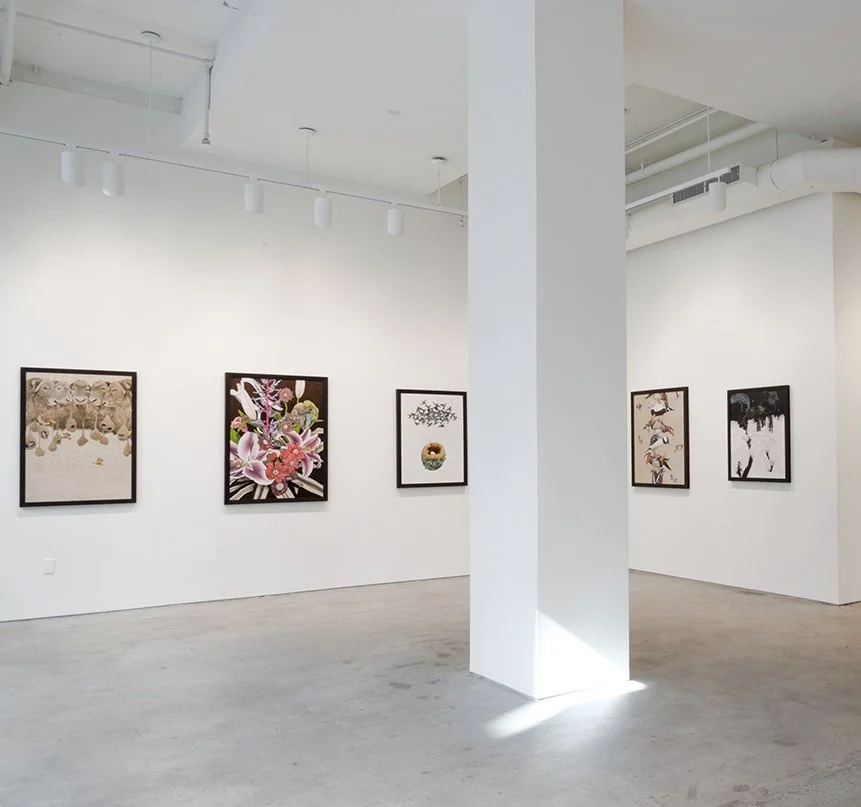 Tiffany Bozic- Qualia