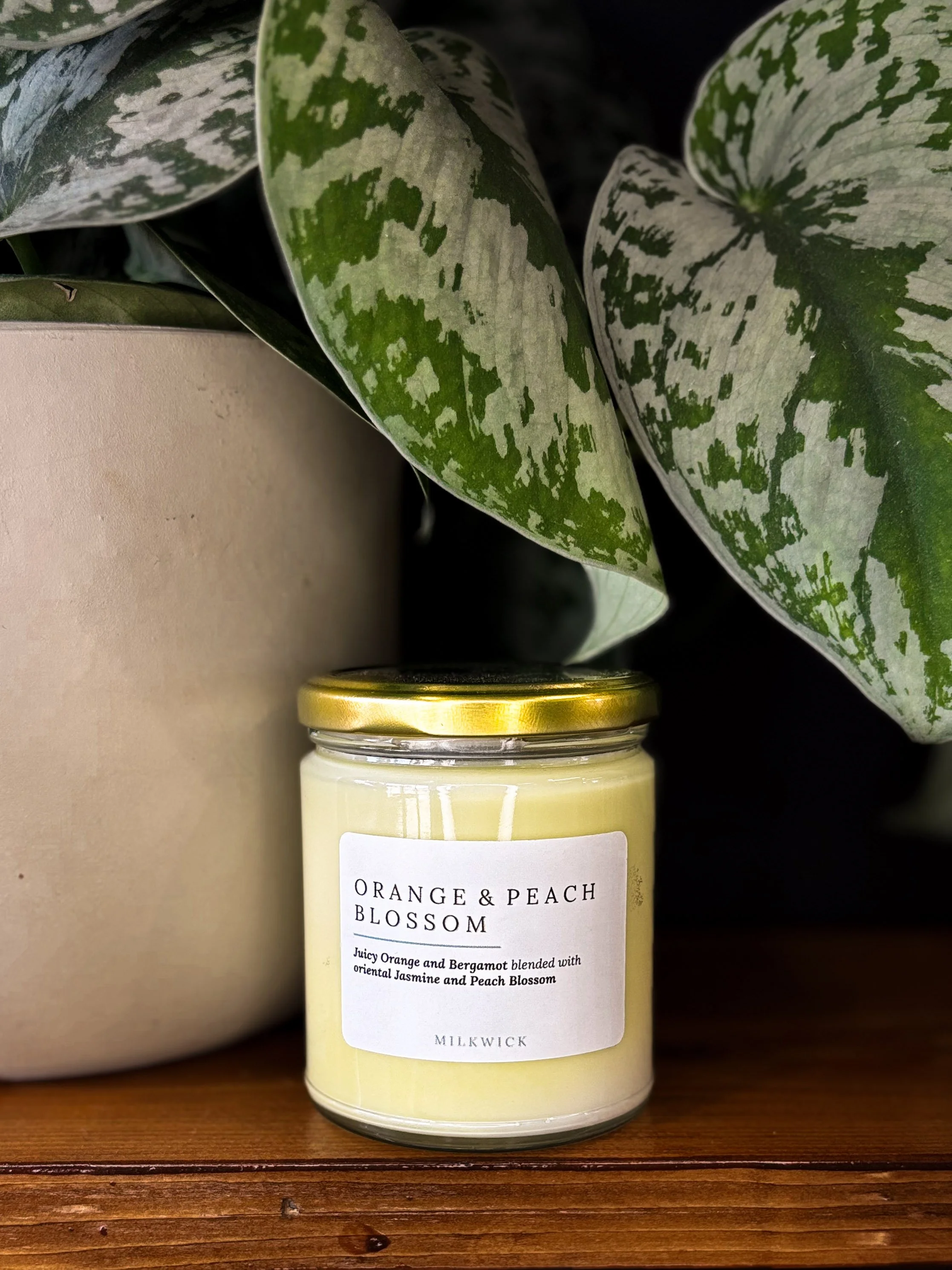 MilkWick Orange & Peach Blossom - Candle