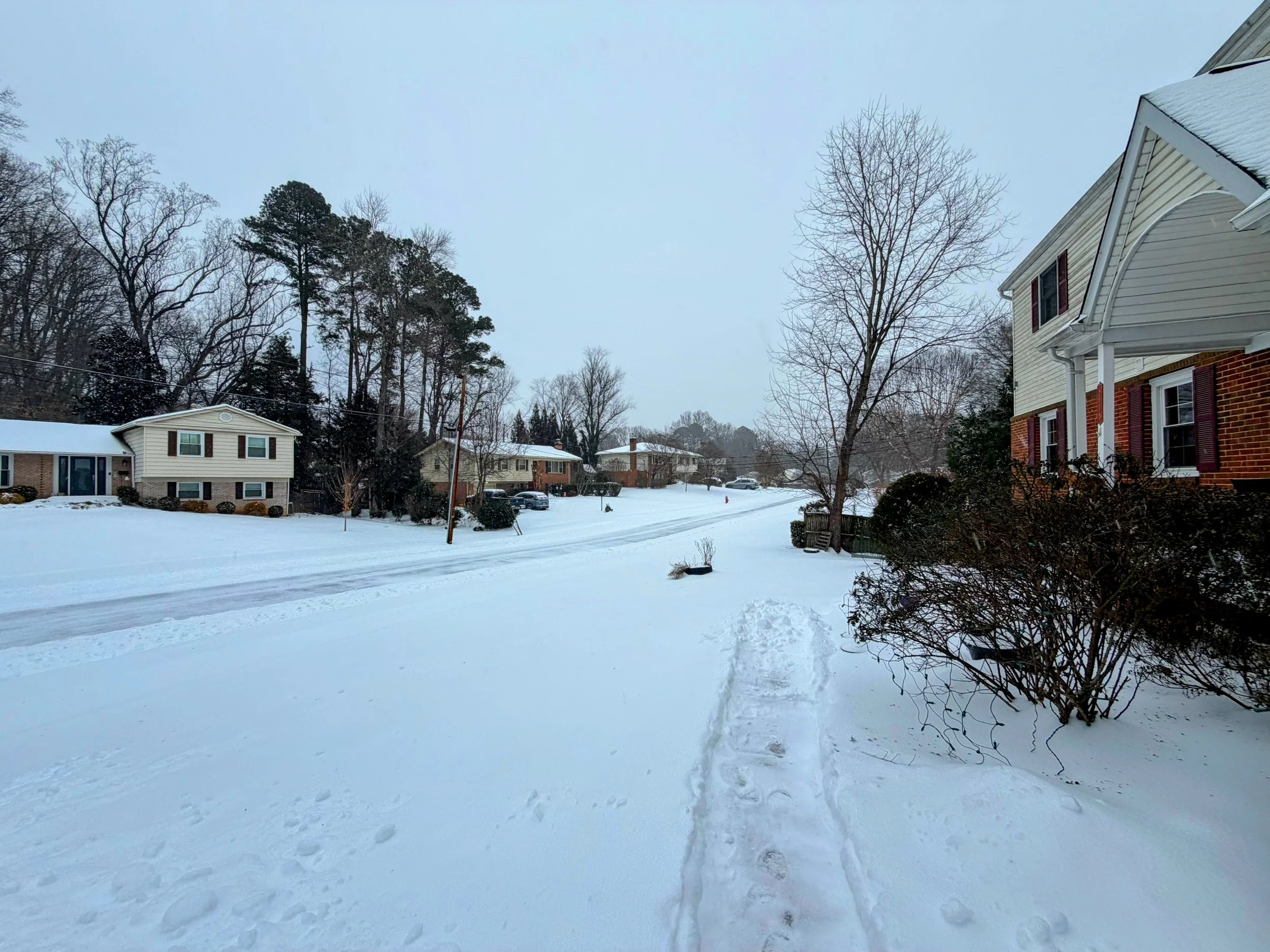 What a Canceled Recital Taught Me About Life, Legacy, and Schubert