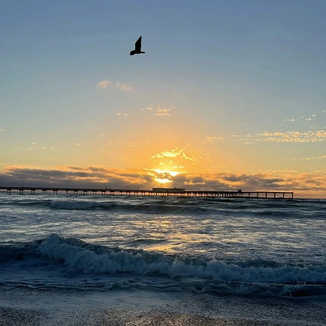 Wisdom. Truths. Finding Stillness. 